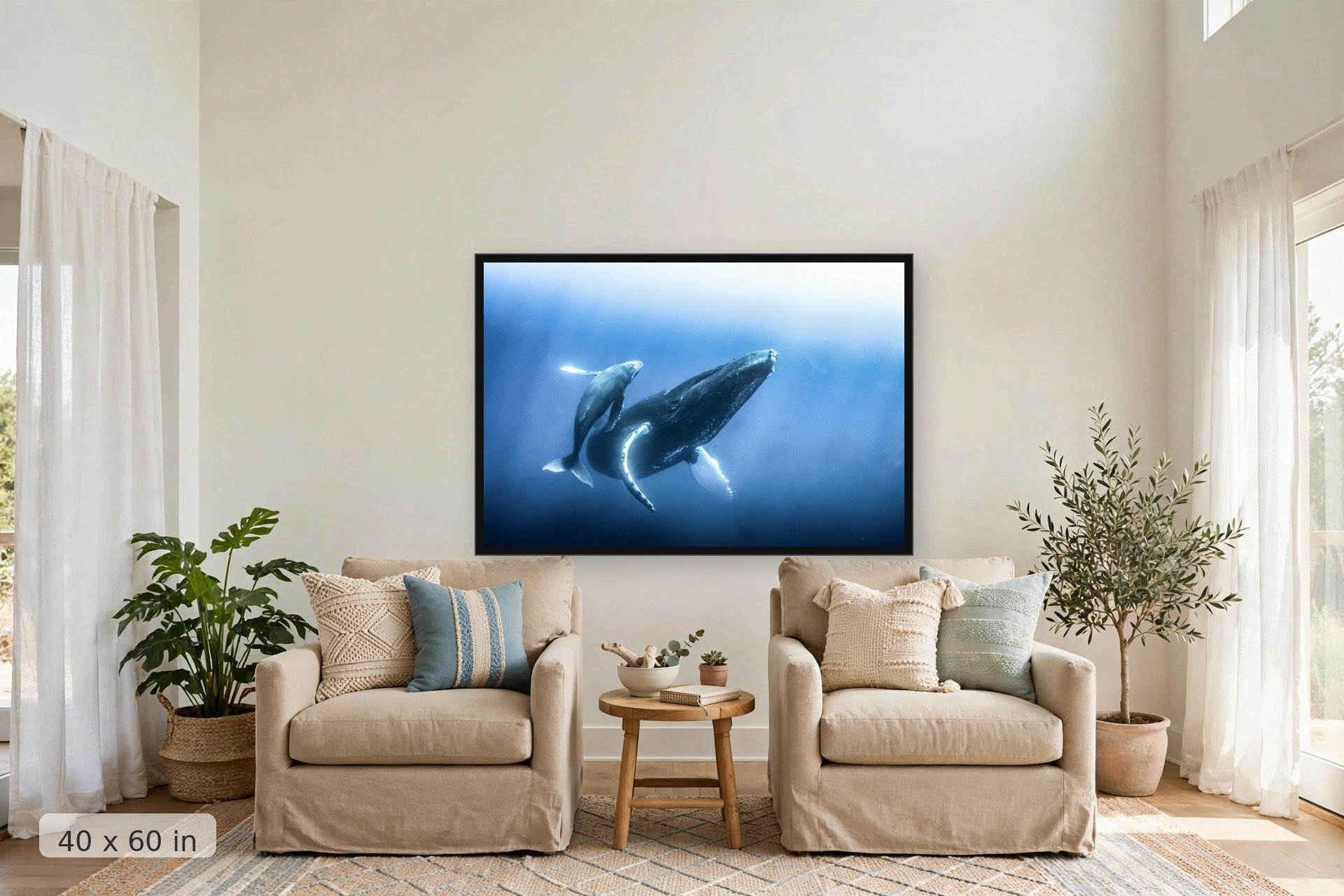 humpback whale calf dancing around its mother — Keiki Kohola print, 40x60 large mockup in a living room