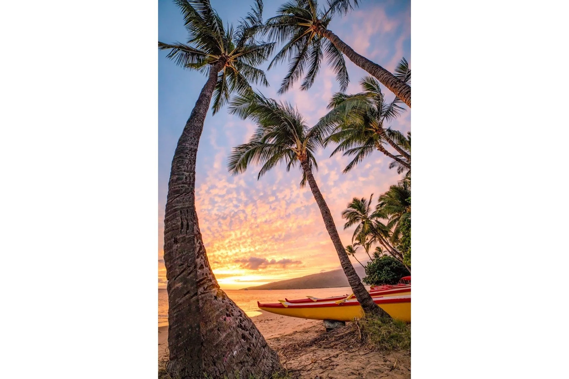 hawaiian-tradition-3x2-whitebar.jpg