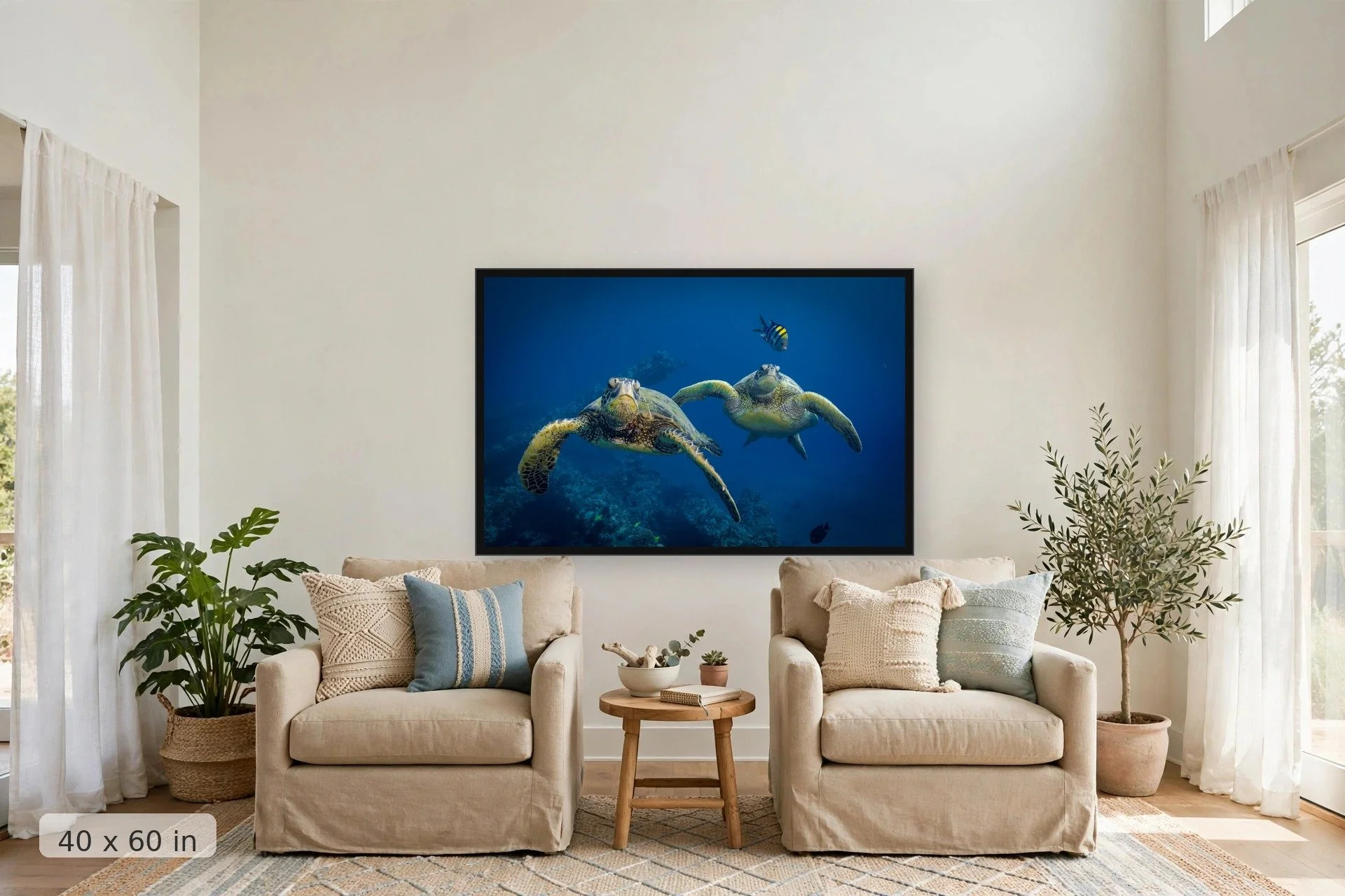 two turtles swim in formation with a sergeant major in tow — Double Turtle print, 40x60 large mockup in a living room