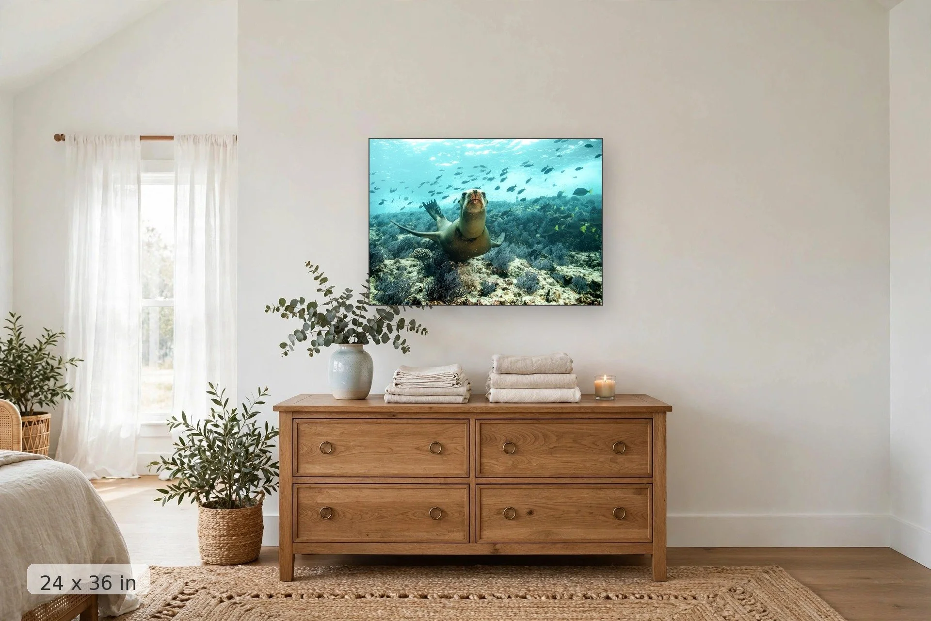 Sea lion dancing underwater — Dancing Sea Lion print, 24x36 mockup above a dresser