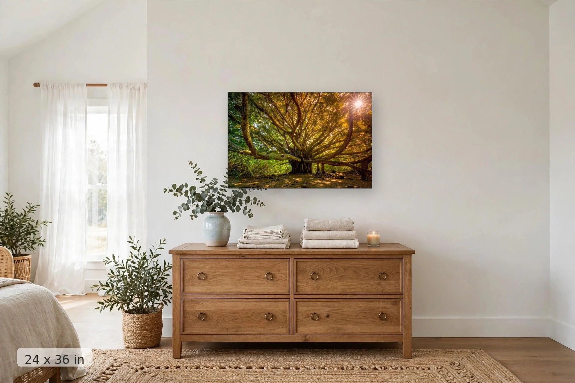 massive banyan tree at pipiwai in hawaii with sunset shining through branches — Pipiwai Banyan print, 24x36 mockup above a dresser