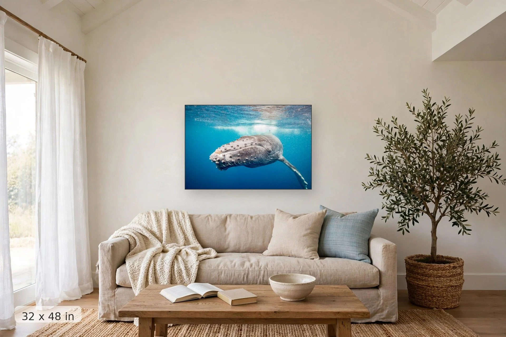 curious humpback whale calf approaching the camera — Calf Up Close print, 32x48 mockup above a living room sofa
