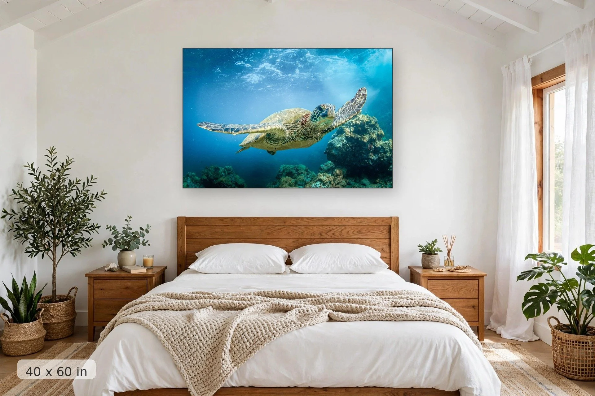 Turtle swimming over coral gardens — Take Flight print, 40x60 mockup above a bedroom headboard