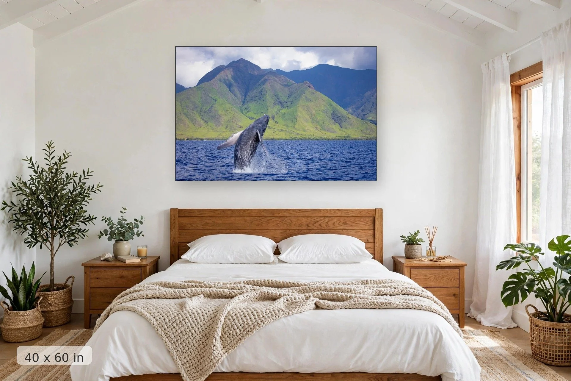 Baby humpback whale breaching with West Maui mountains background — Baby Breach Photo - Baby Humpback Whale in Maui print, 40x60 mockup above a bedroom headboard