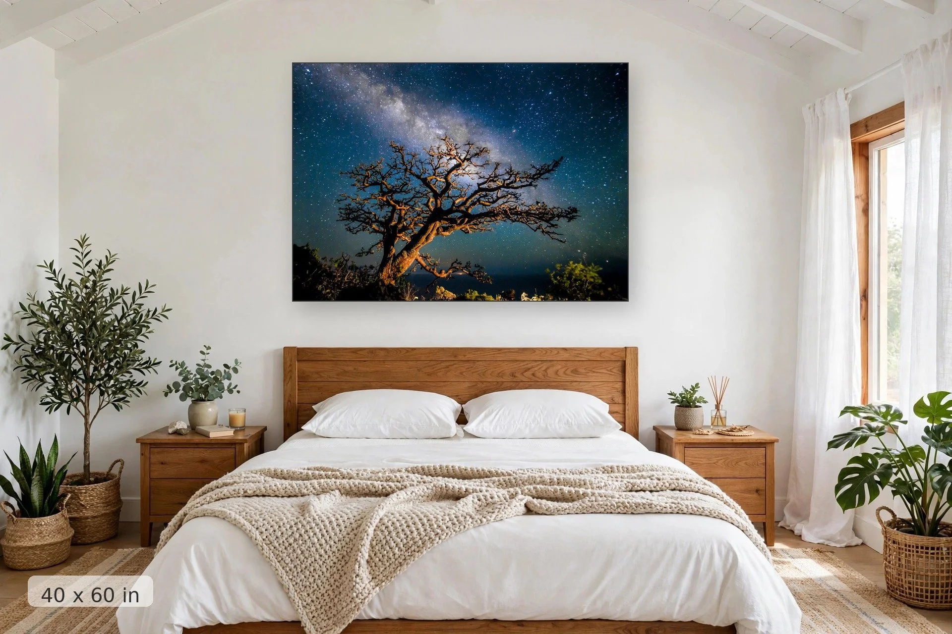 illuminated-40x60-bed-final.jpg
