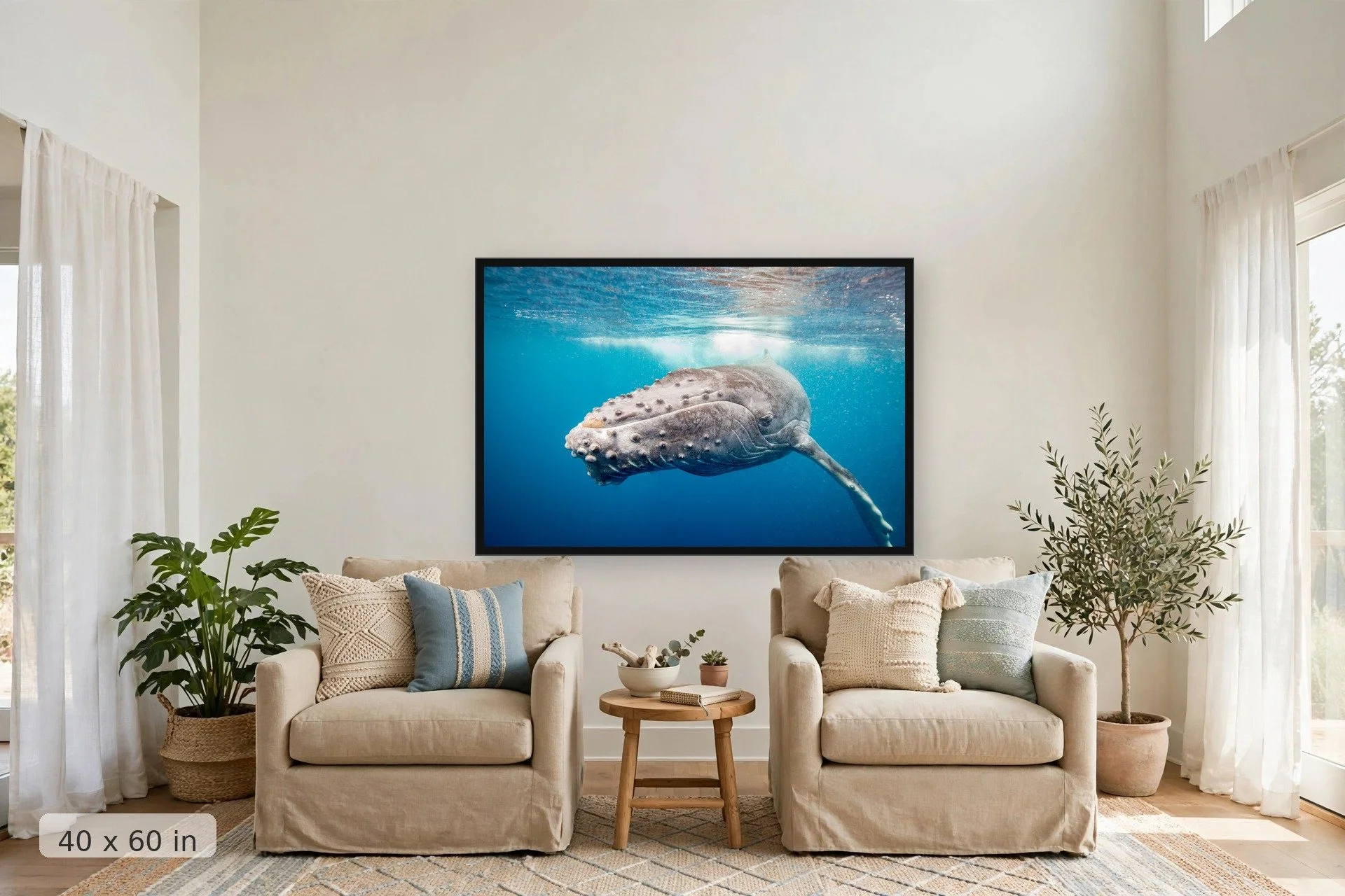 curious humpback whale calf approaching the camera — Calf Up Close print, 40x60 large mockup in a living room