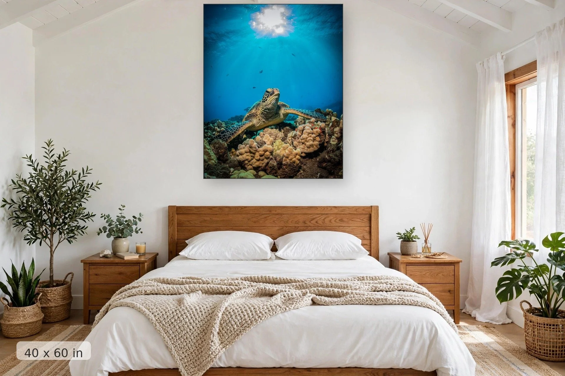 A Hawaiian Green Sea Turtle rests on boulder coral during mid afternoon — Afternoon Turtle print, 40x60 mockup above a bedroom headboard