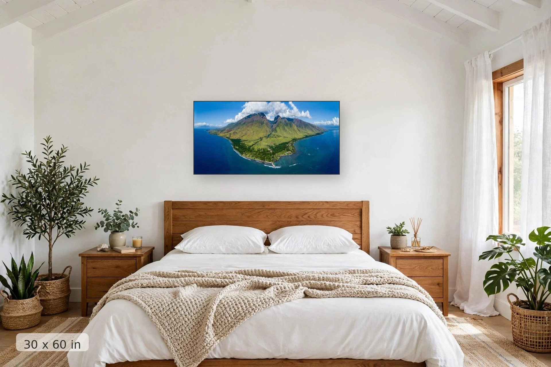 aerial-olowalu-30x60-bed-final.jpg