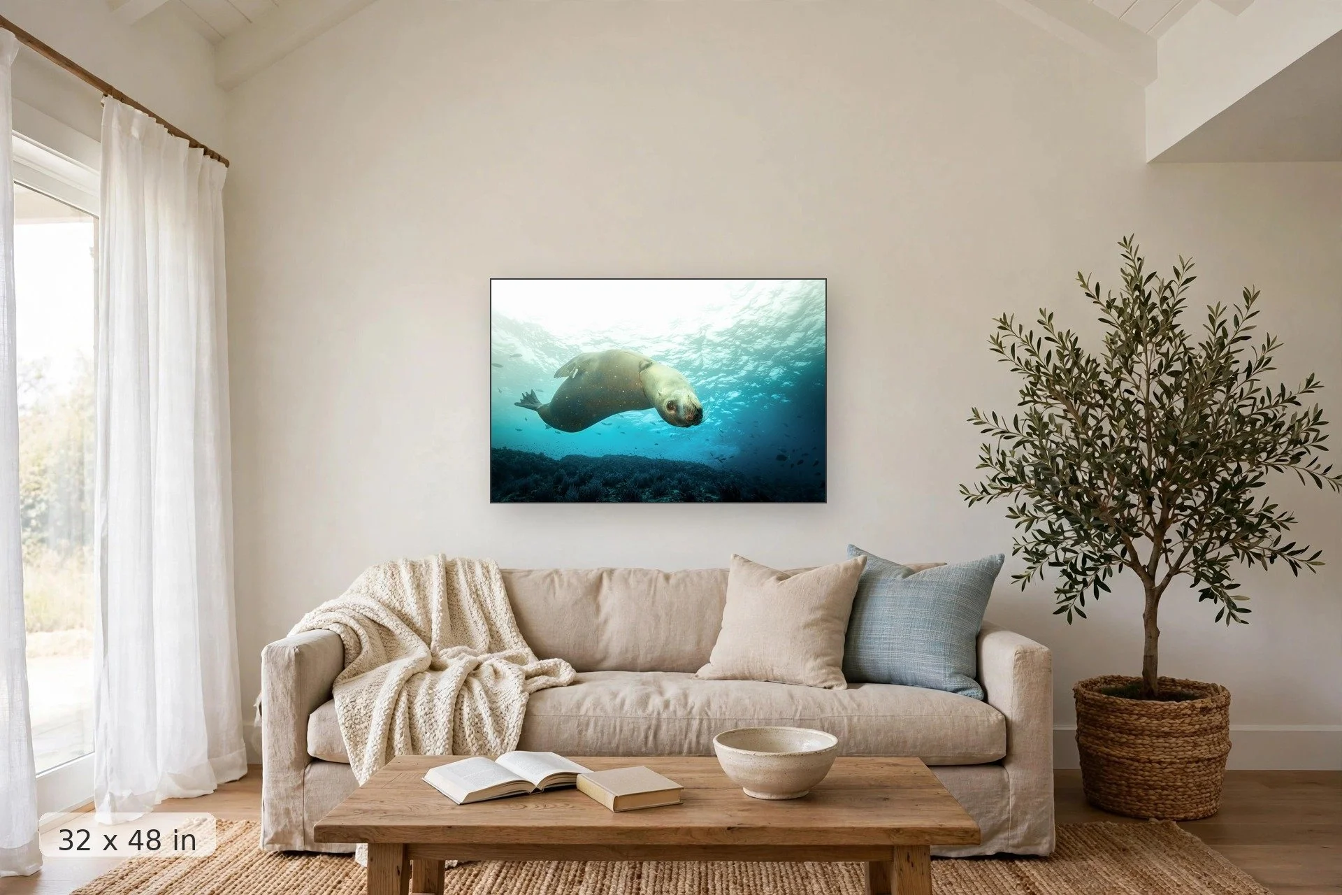 Curious sea lion portrait — Curious Sea Lion print, 32x48 mockup above a living room sofa