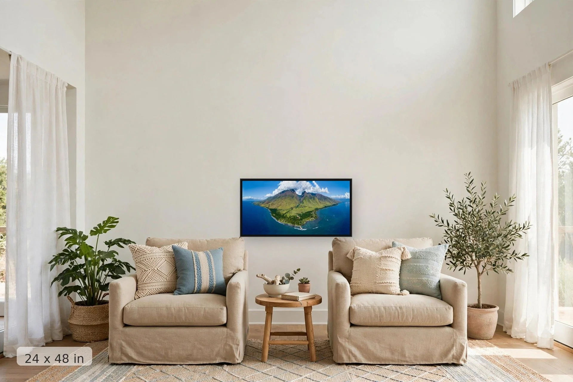 aerial-olowalu-24x48-large-final.jpg