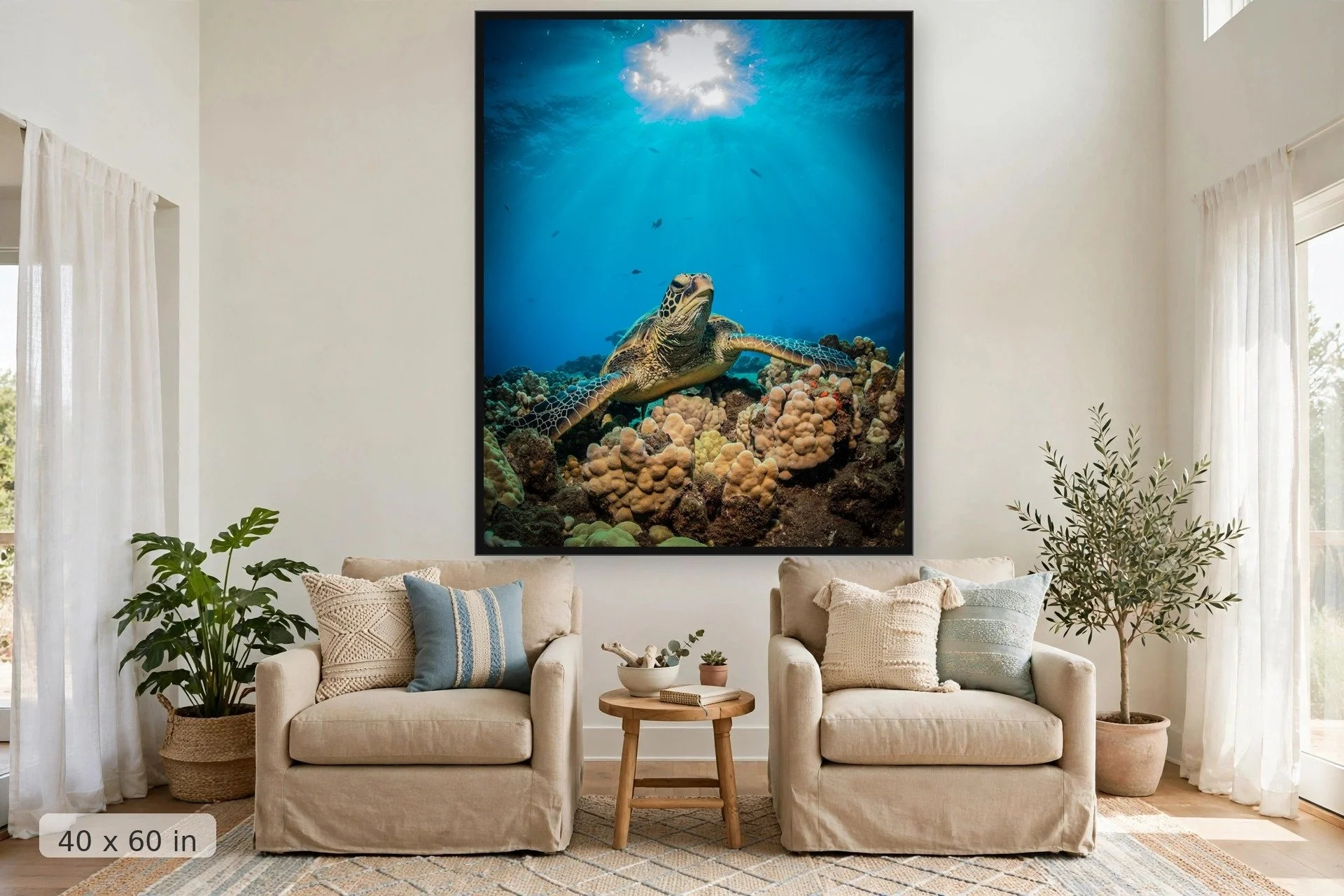 A Hawaiian Green Sea Turtle rests on boulder coral during mid afternoon — Afternoon Turtle print, 40x60 large mockup in a living room