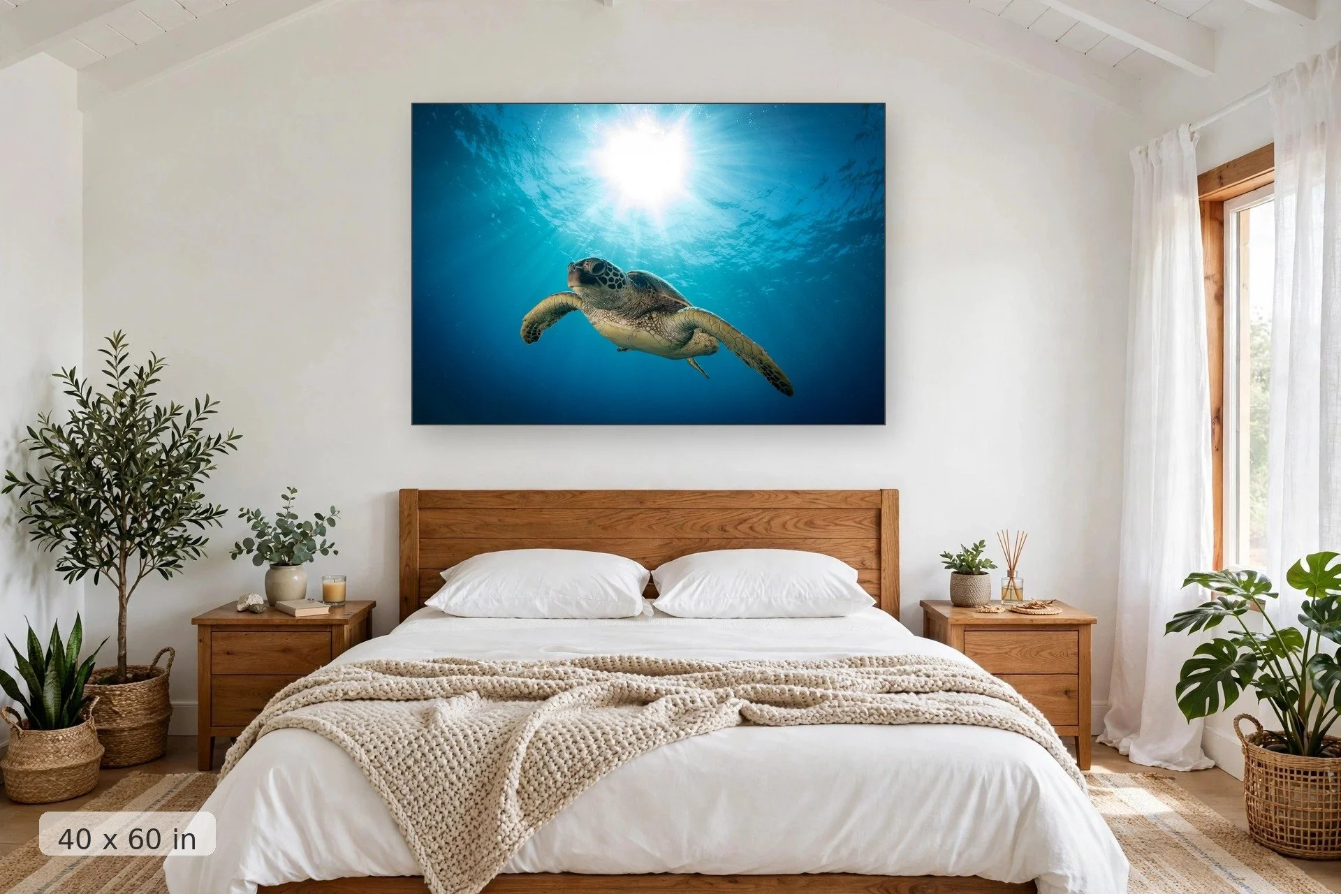 a turtle swims underwater with the sun forming a halo overhead — Honu Heaven print, 40x60 mockup above a bedroom headboard