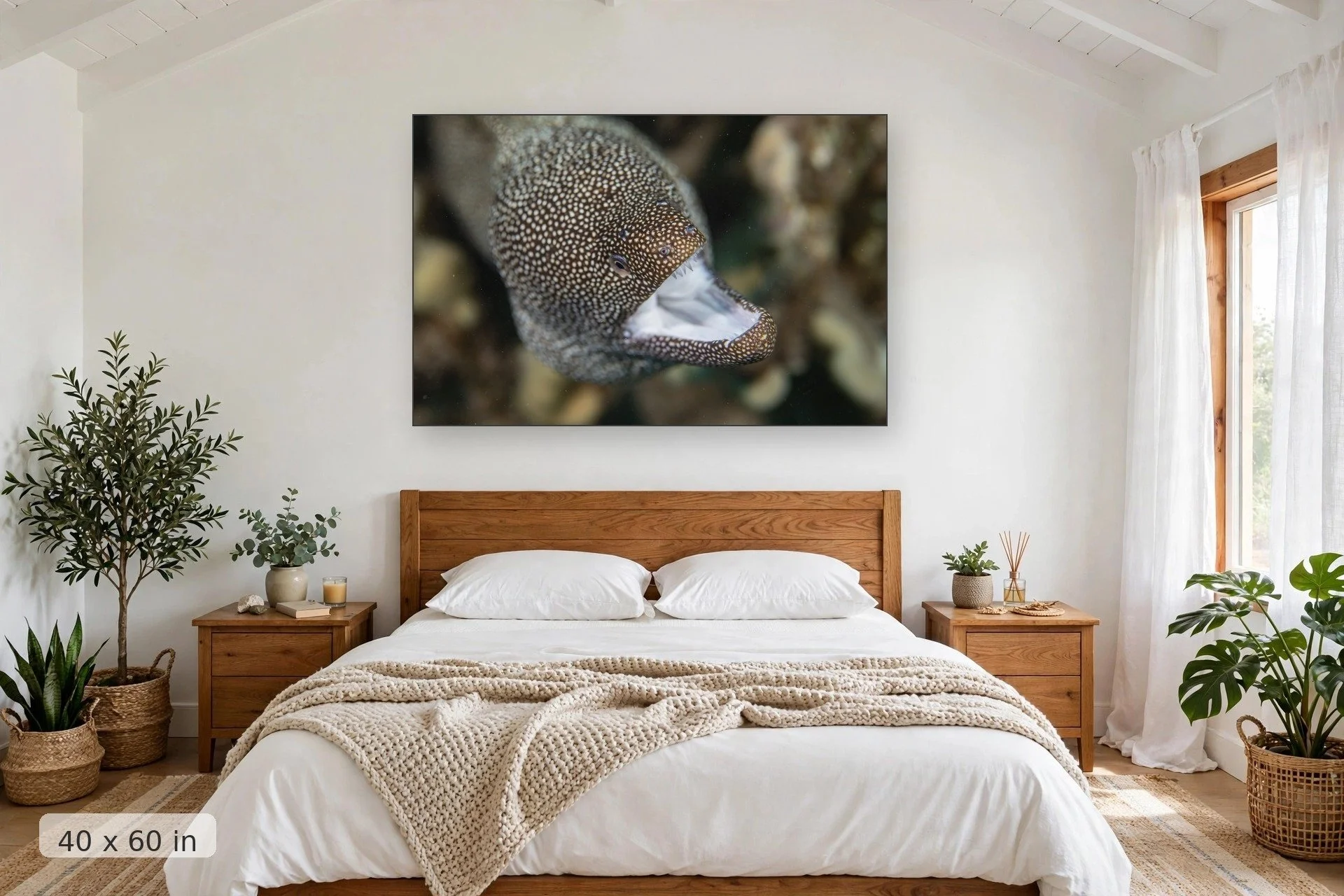 White-mouth moray eel — White Mouth Moray Eel print, 40x60 mockup above a bedroom headboard