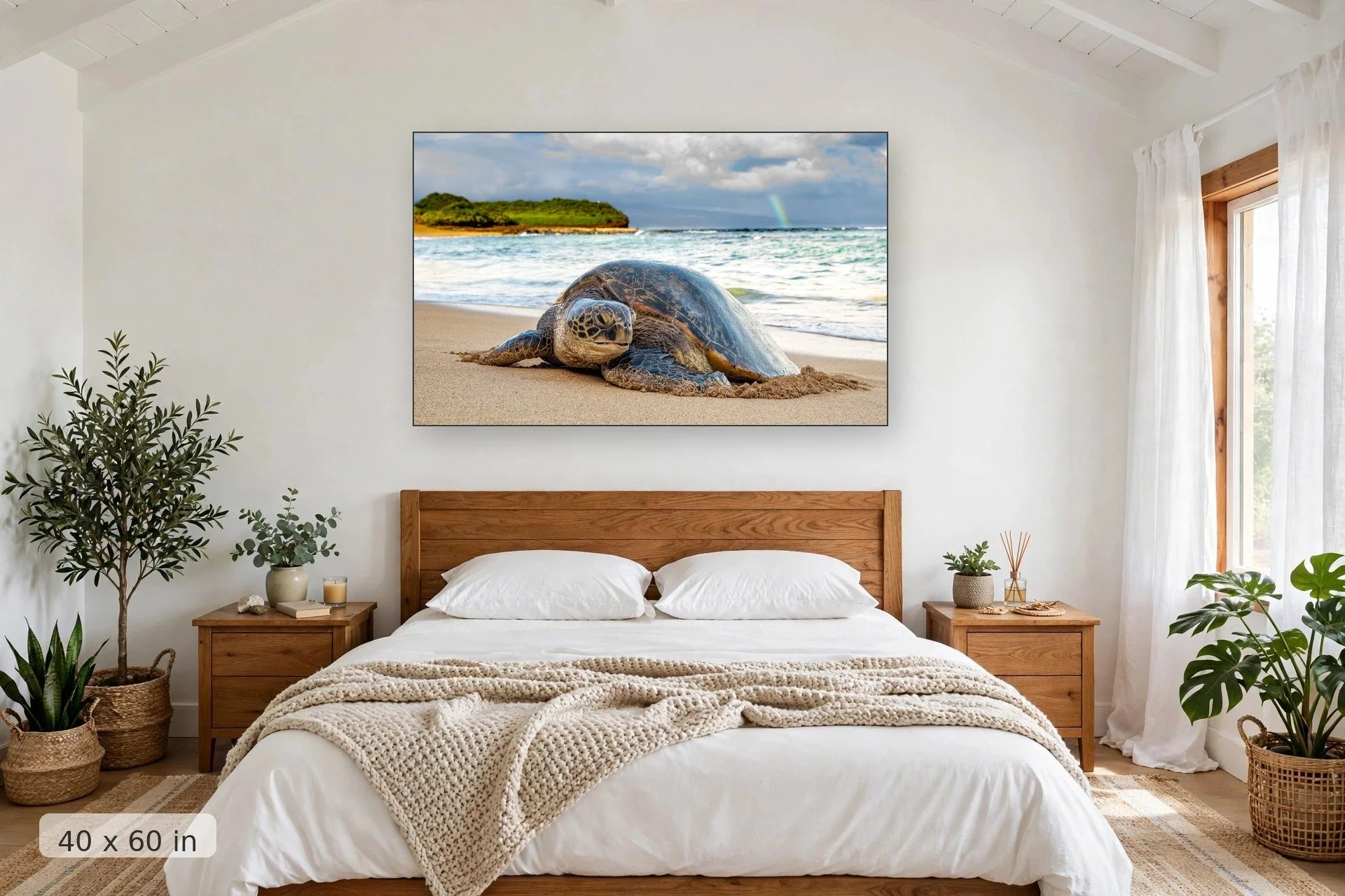 Hawaiian green sea turtle in morning light — Morning Honu print, 40x60 mockup above a bedroom headboard