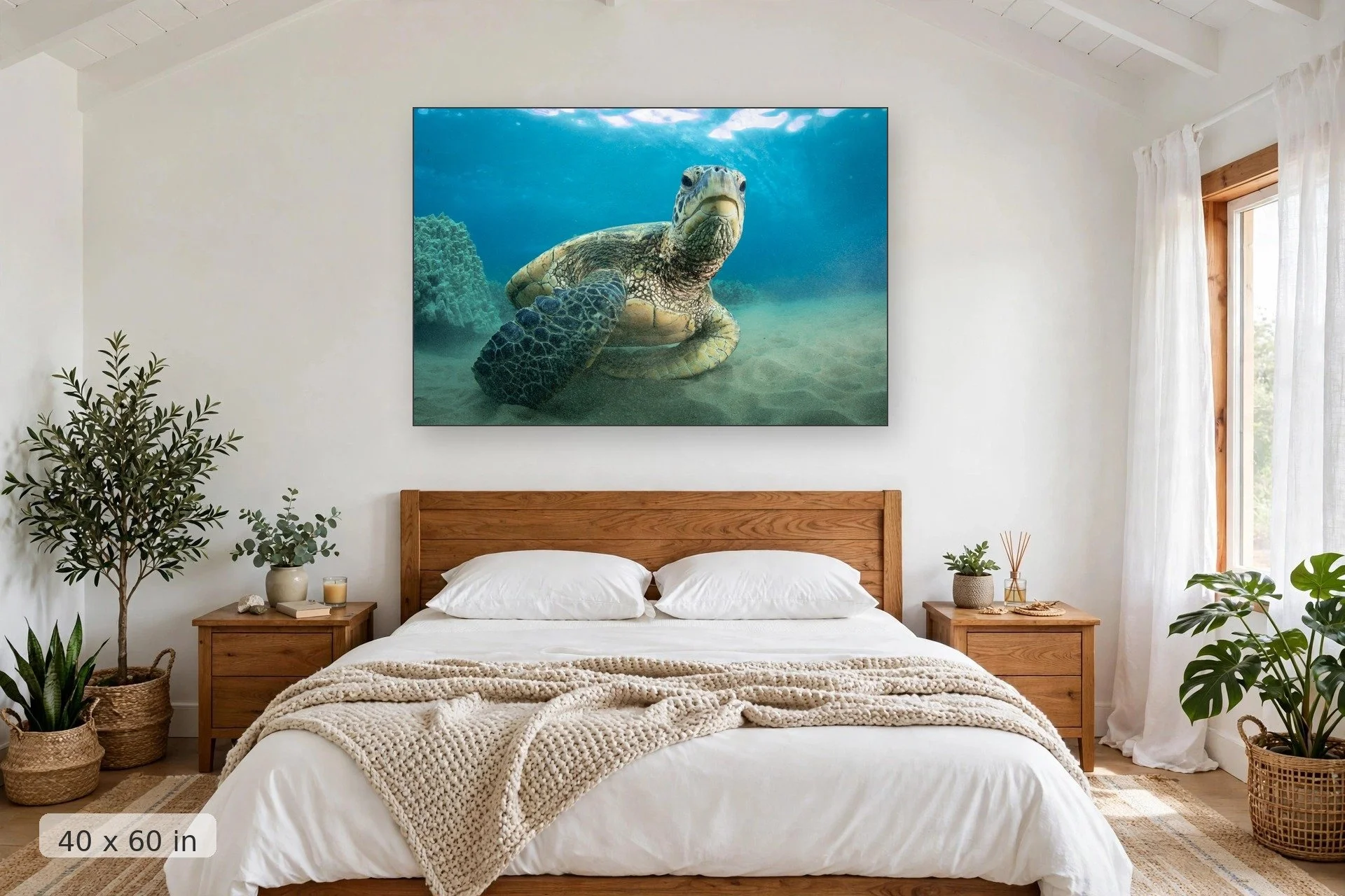 a curious sea turtle hangs out near the camera at the sea floor — Chillin Honu print, 40x60 mockup above a bedroom headboard