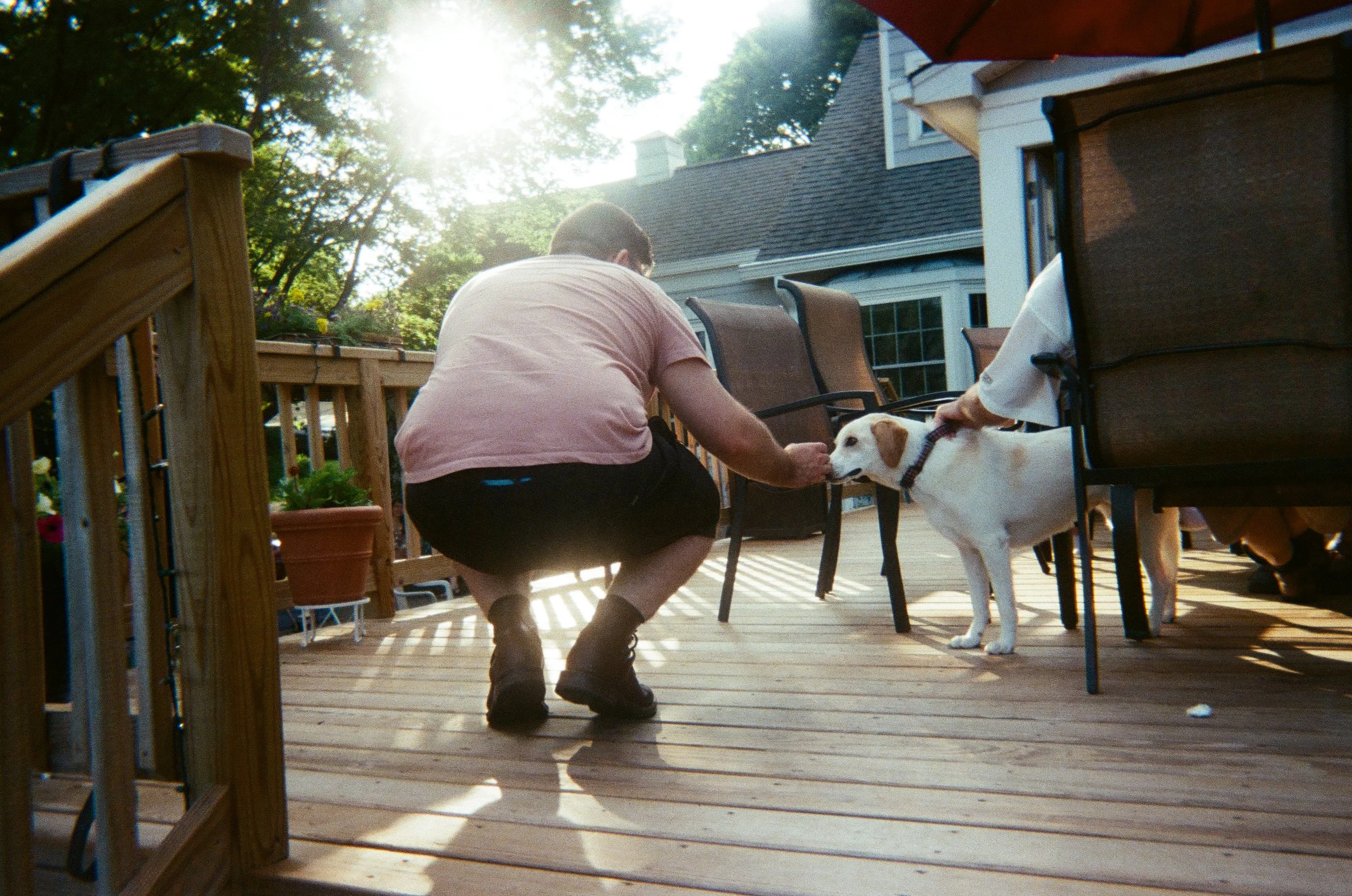 alex meets a pup 2025