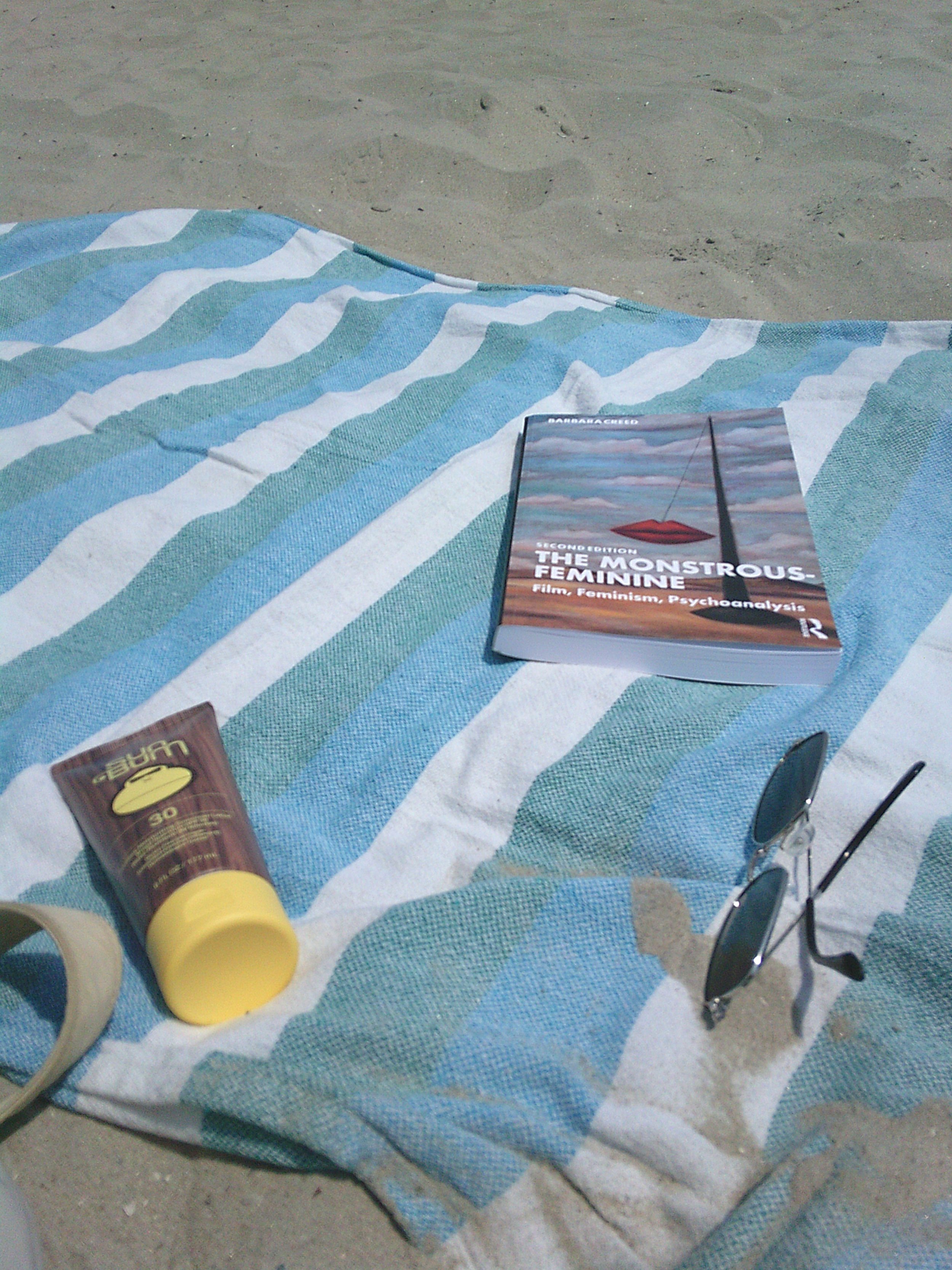 beach reading 2026
digicam