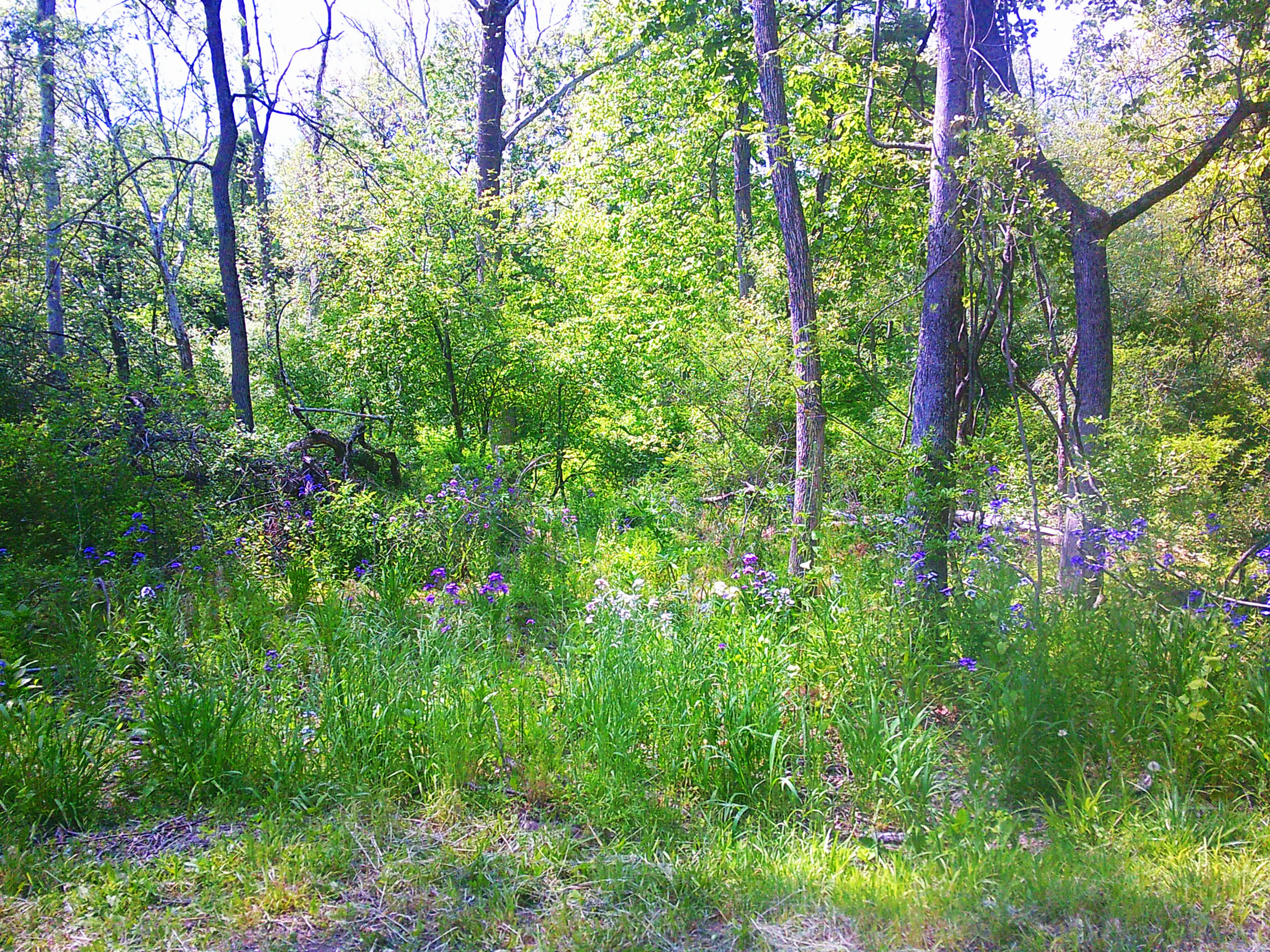 spring 2026
digicam