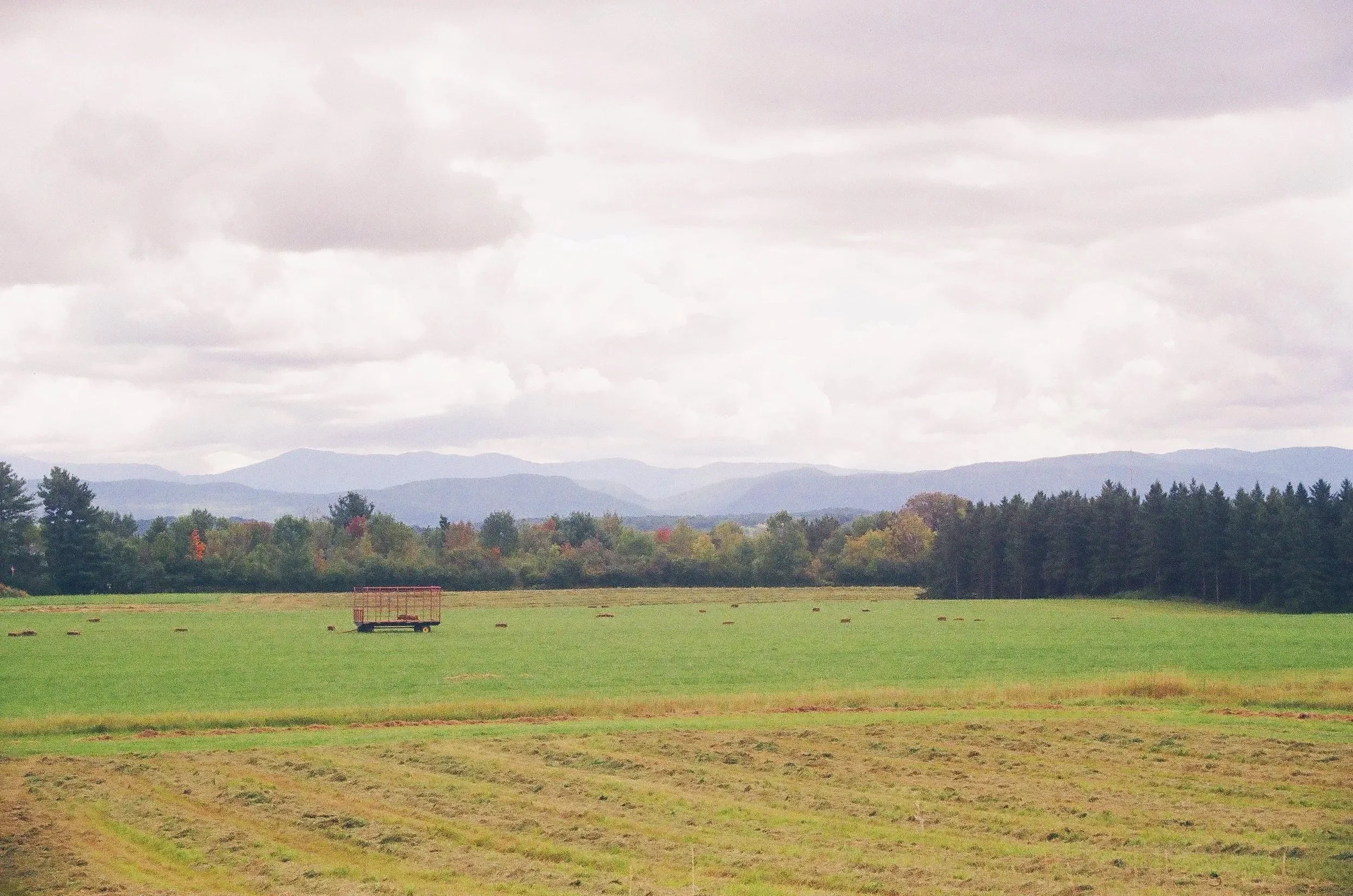 vermont field 2025
35mm