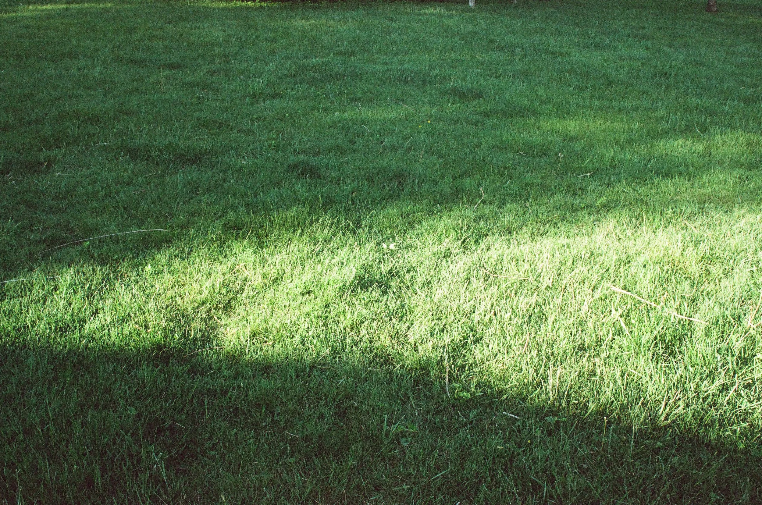spring 2025
35mm