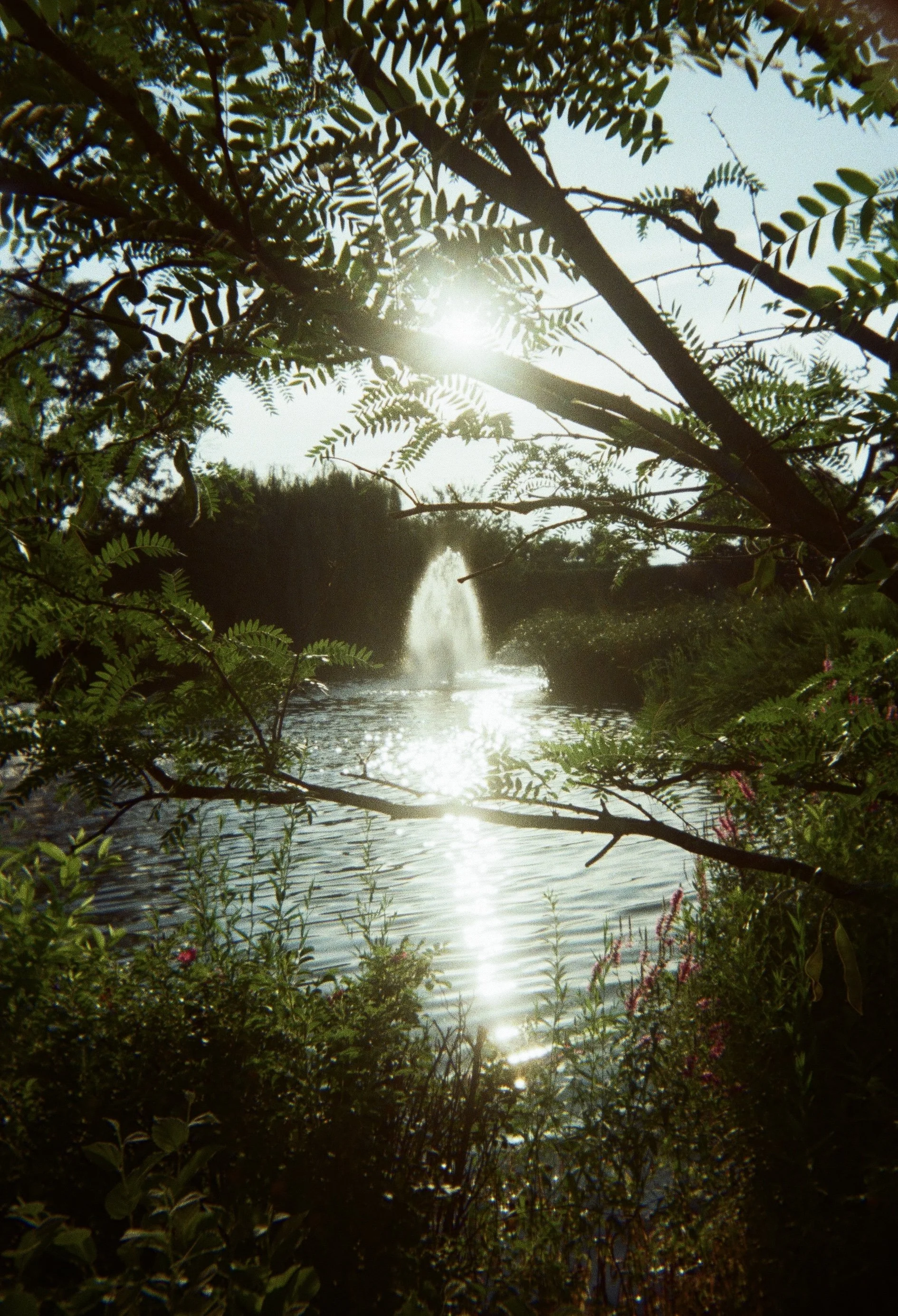 fount 2025
35mm