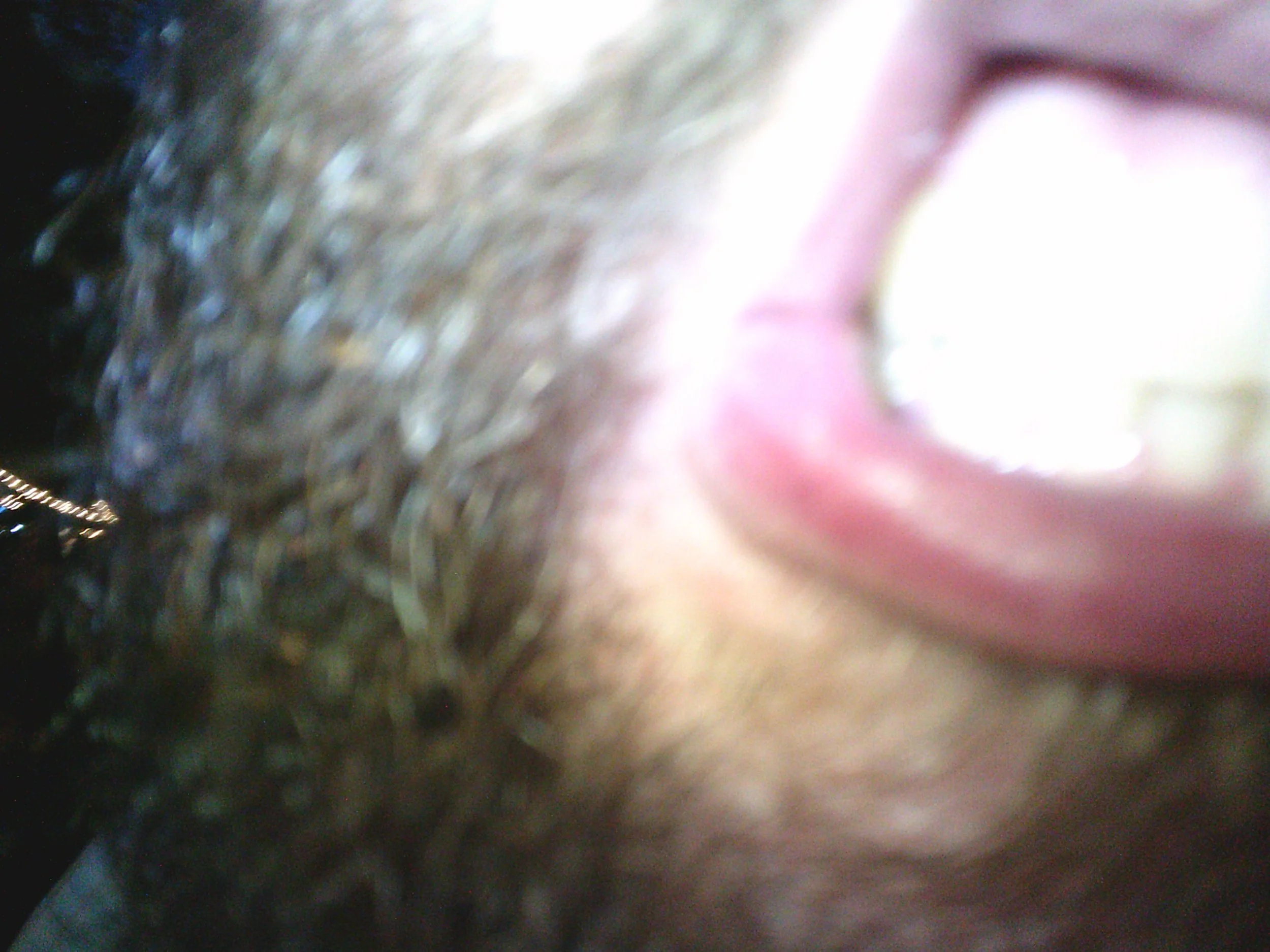 DSCF0075.JPG