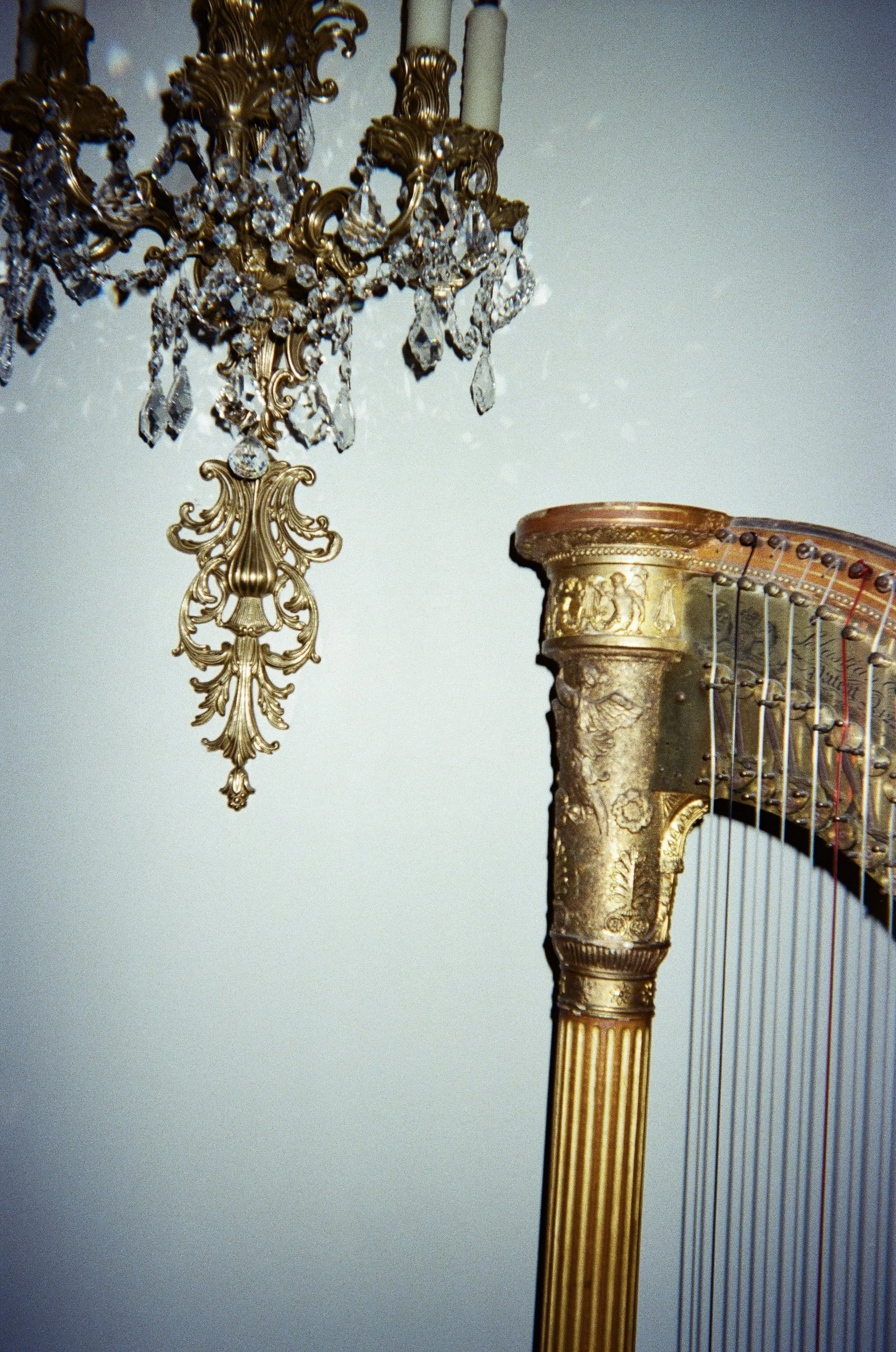 wedding 2025
35mm