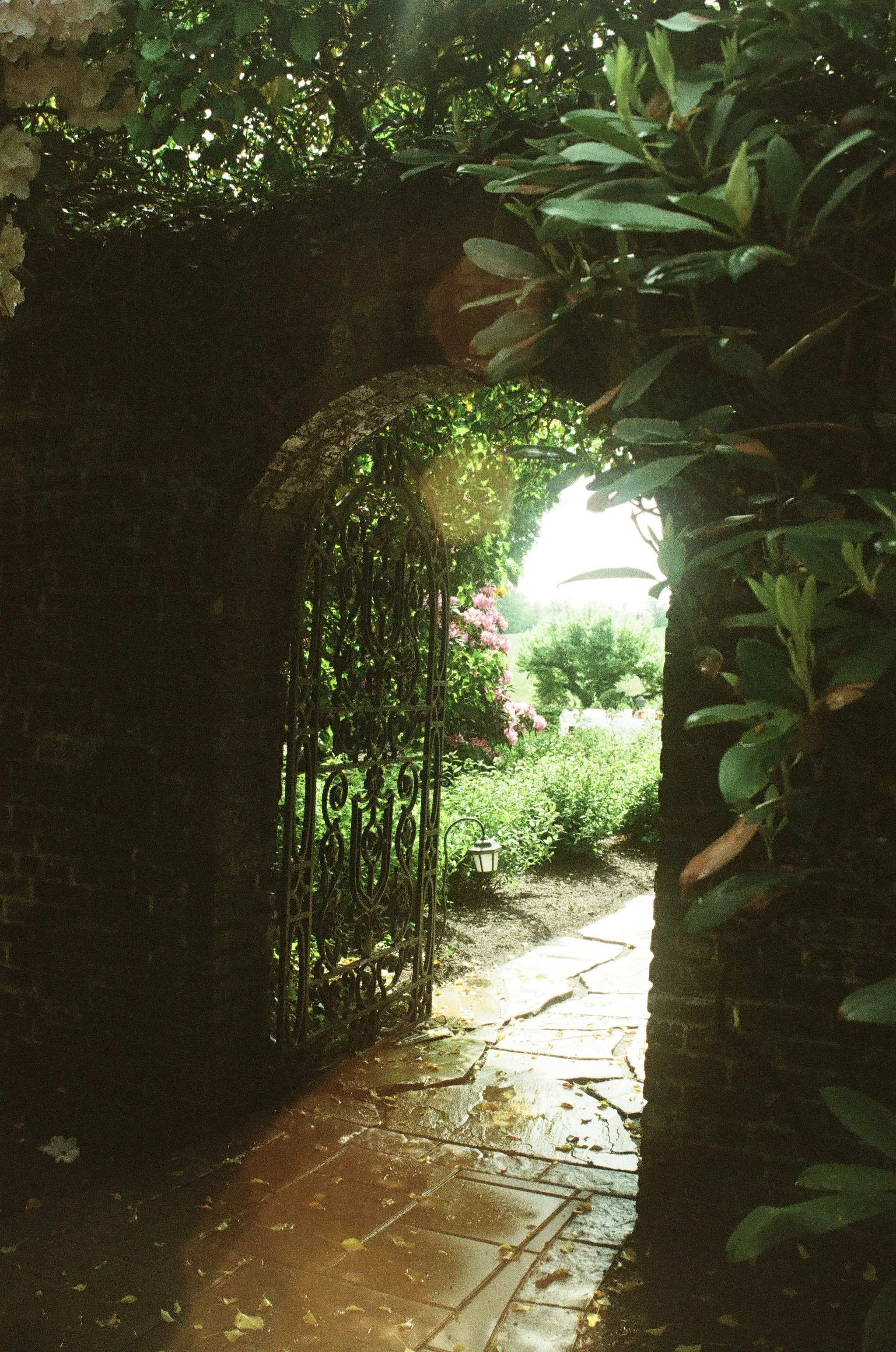 the secret garden 2025
35mm