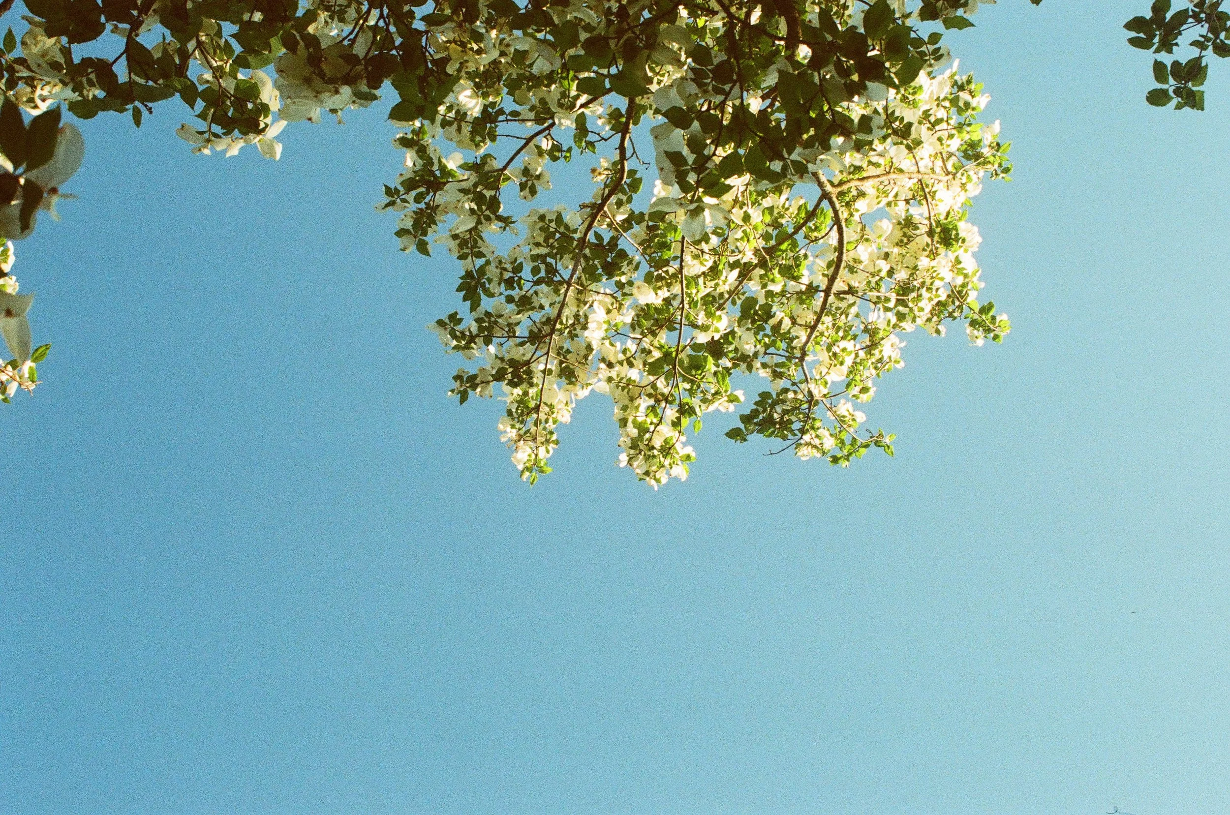 spring 2025
35mm