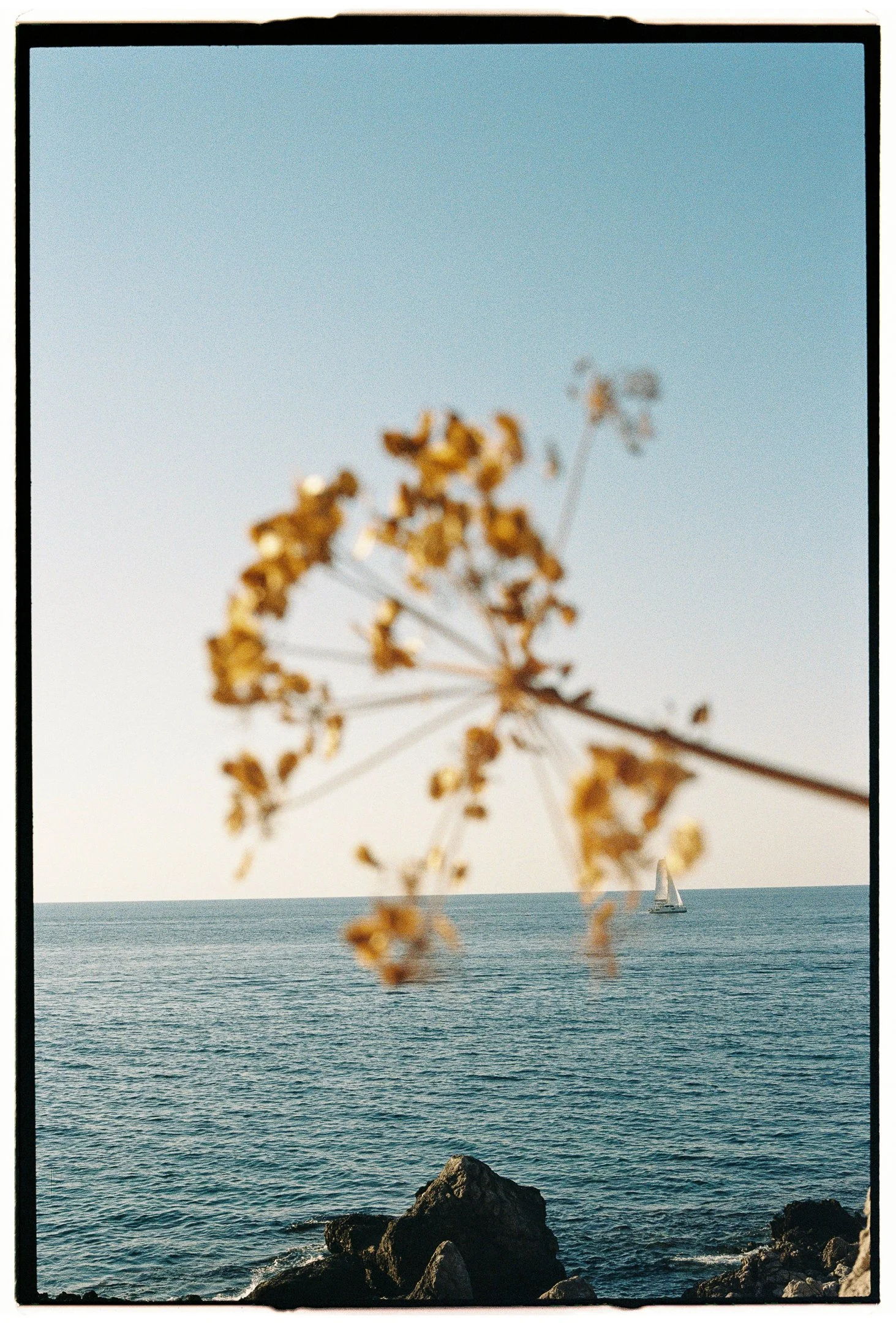 OW-Summer&Johnny-39.jpg