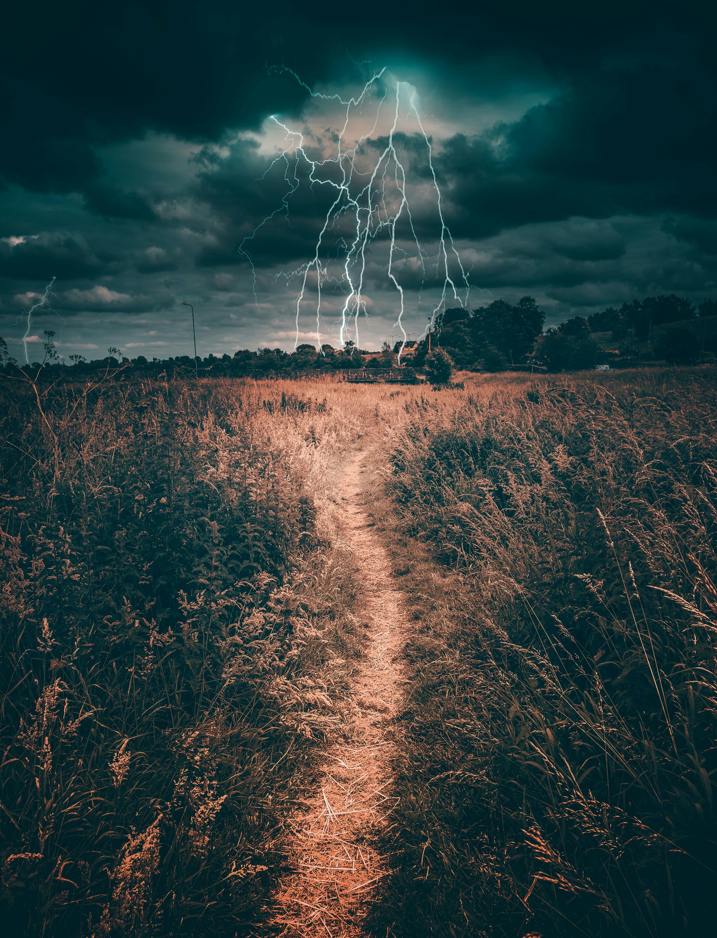 Part Time Week 6 - Ecology and Weather