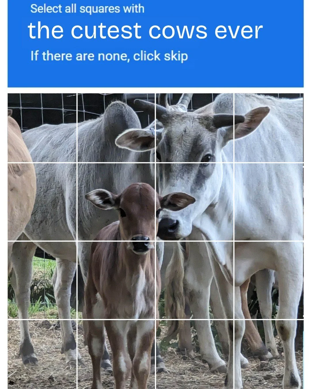 Zebu captcha = instant mood booster 🐄✨