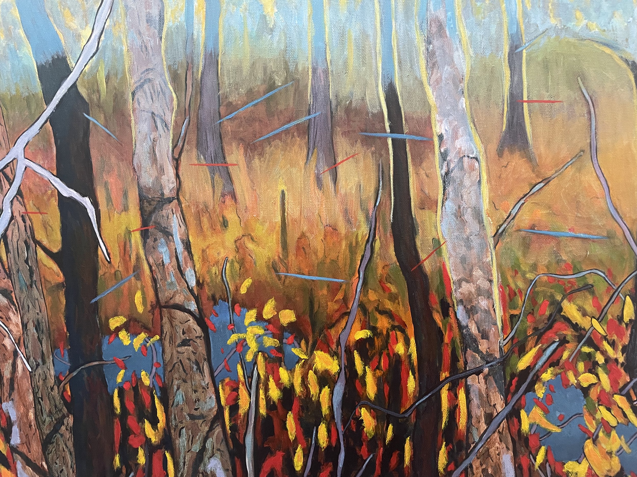 Backyard Bog 3.1 (framed)