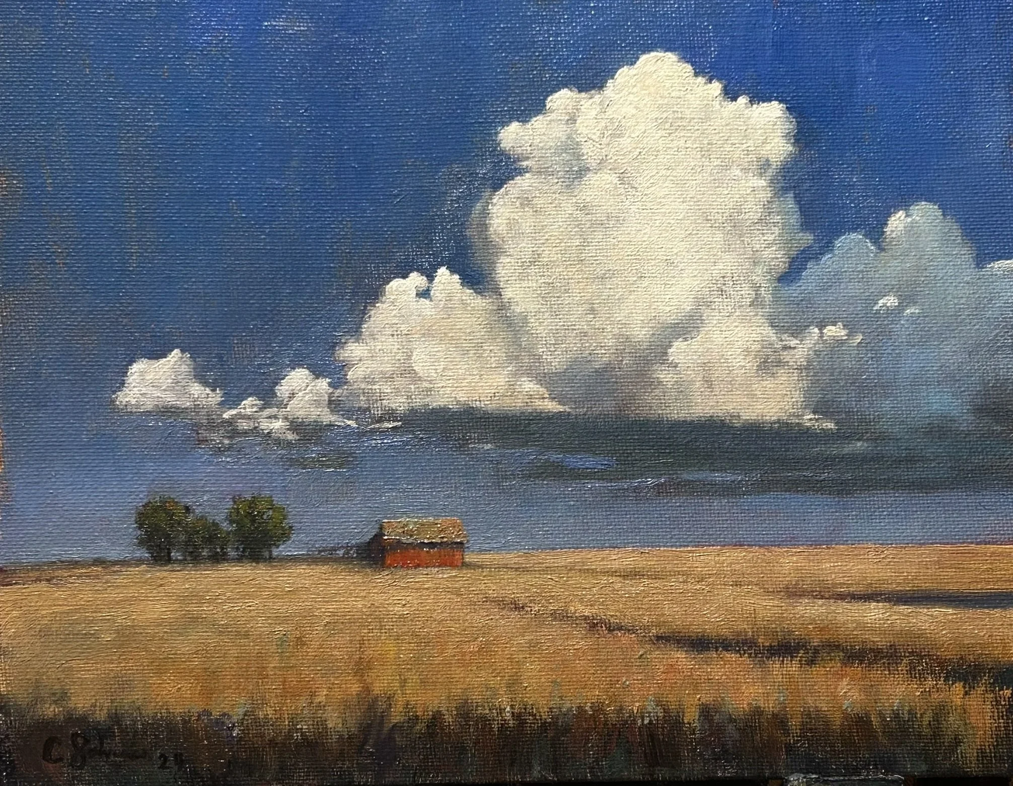 Stillness in Motion, 2024, 7" x 9" oil on canvas panel - $225