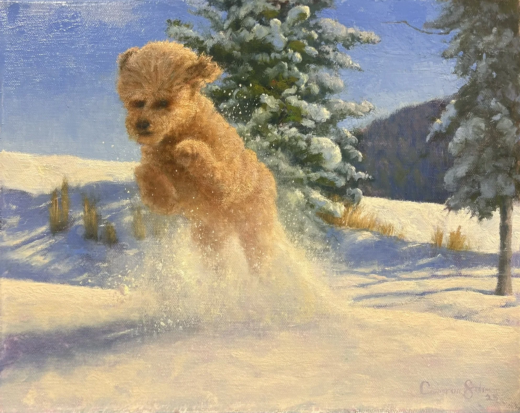 Dashing Through, 2025, Oil on Canvas - Sold, Commission Piece