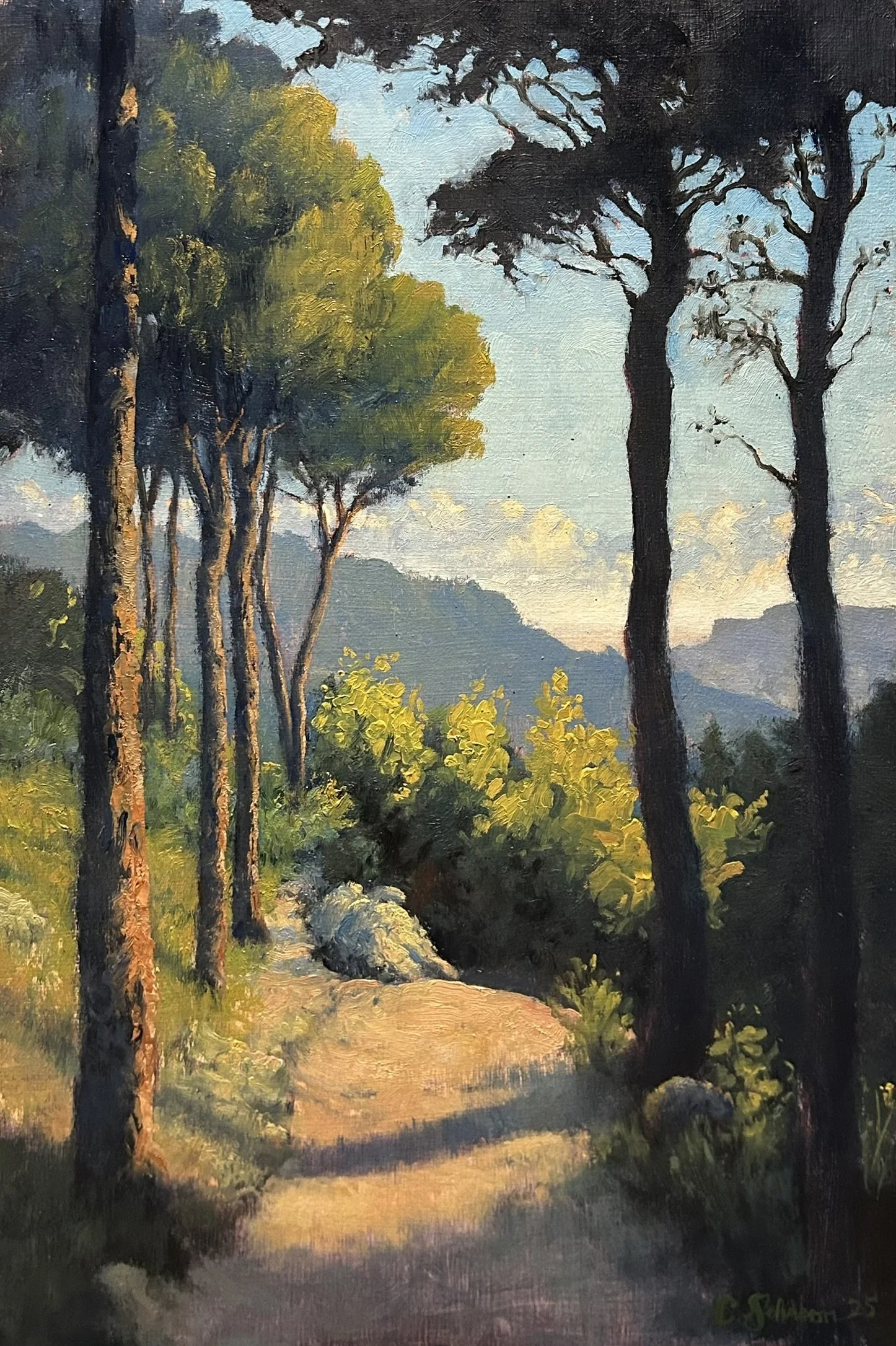 Trail's Transition, 2025, 8" x 12" oil on birch panel - priced with frame