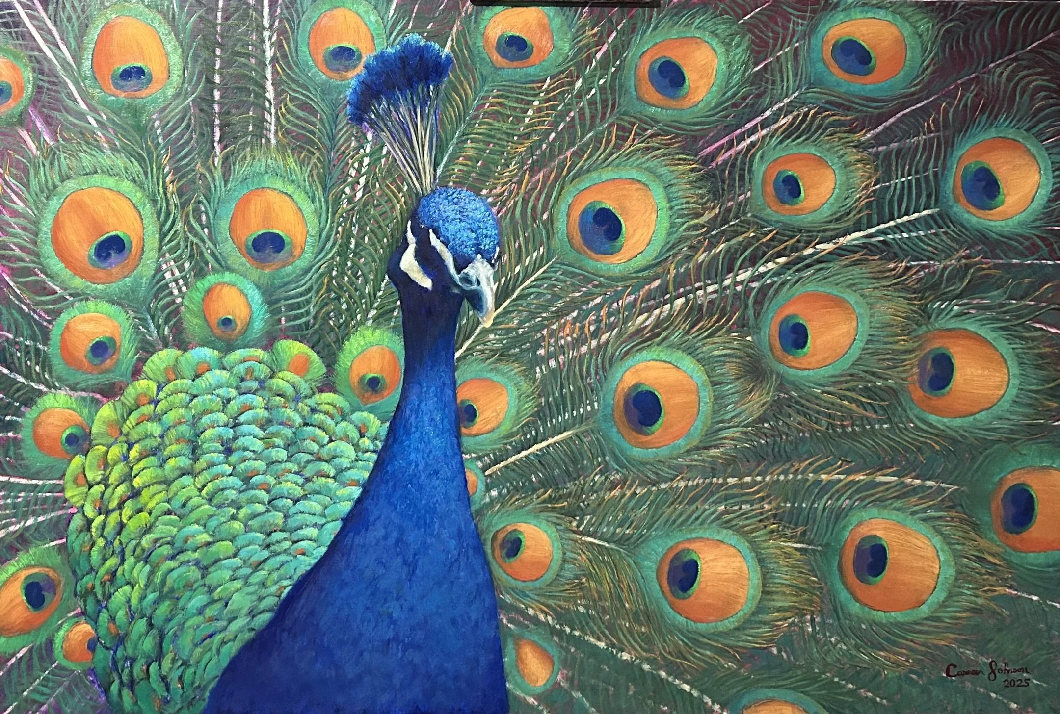 Peacock, 2025, 24" x 36" oil on stretched canvas - Sold, Commission Piece