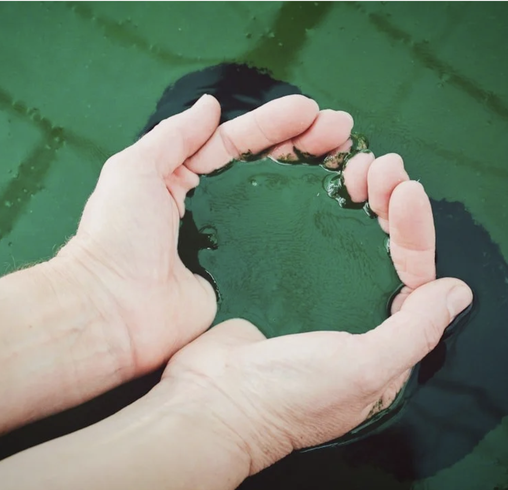 Hearten House Training - March 2026