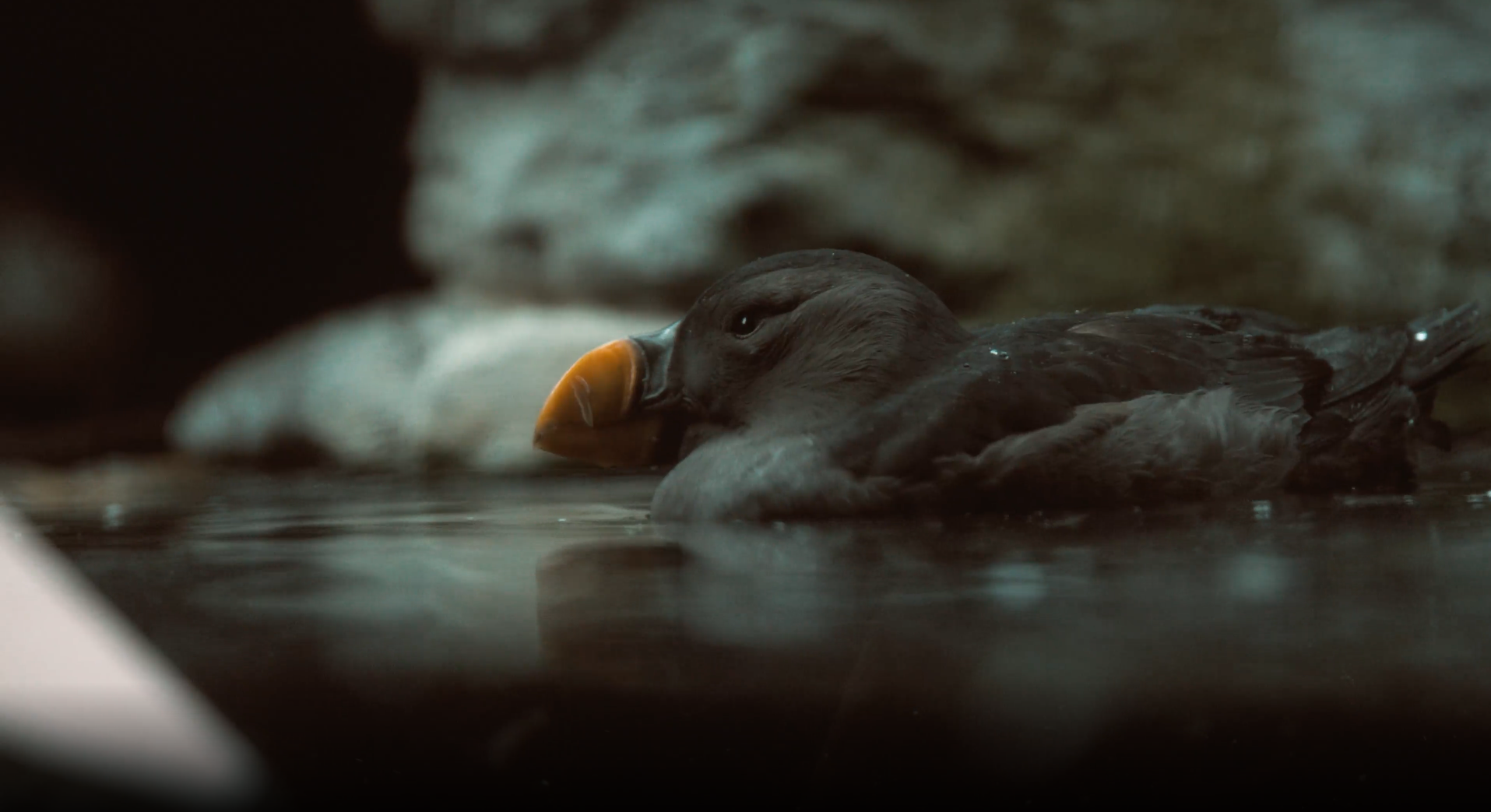 Commercial Production Company Vancouver