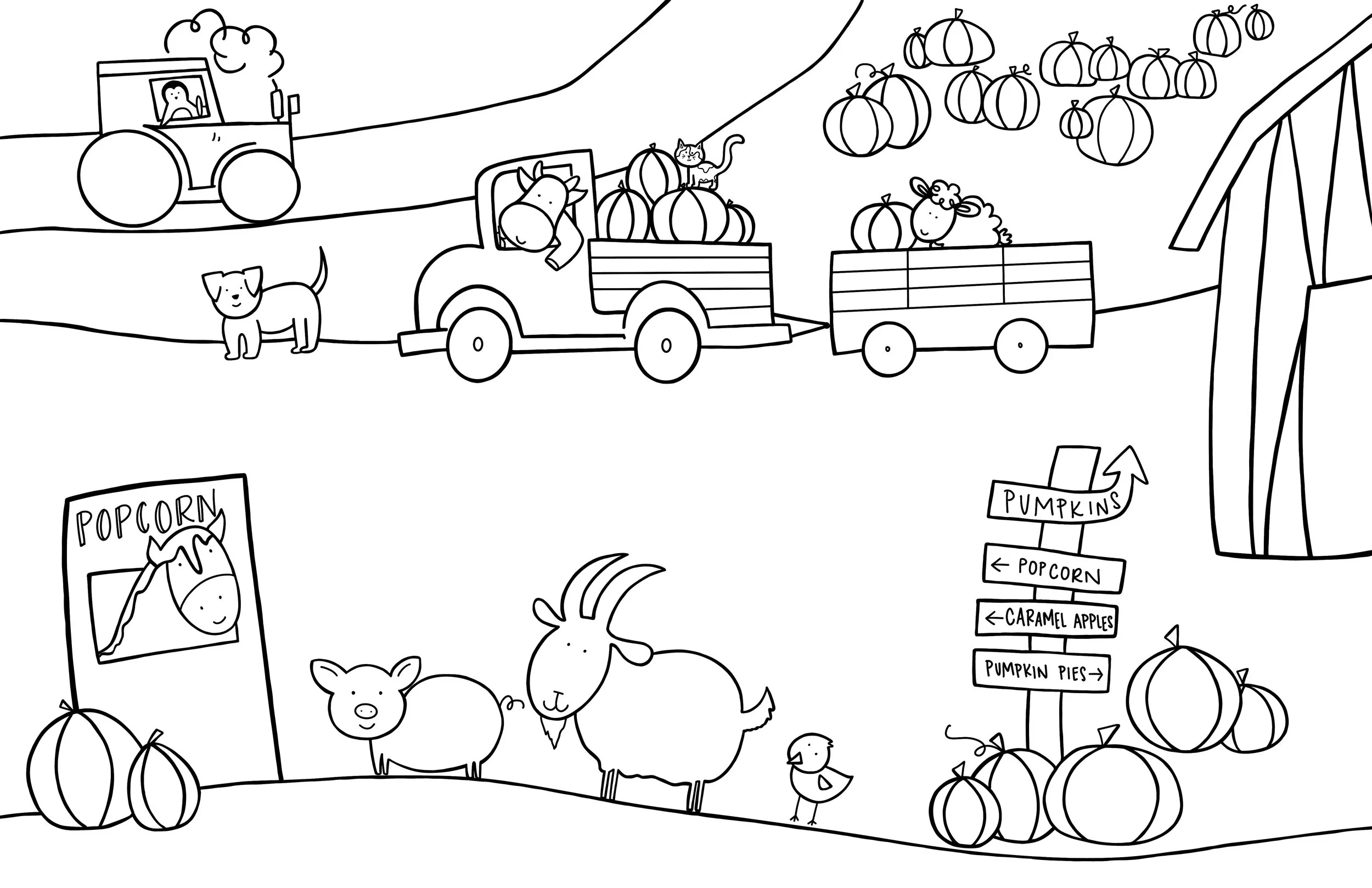 pumpkin_patch.jpg
