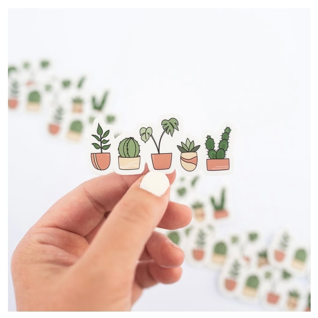 I&rsquo;ve been spending a lot of time making some new plant items (ahem, like notebooks and totes and more 🥳) but there&rsquo;ll always be something special about this little OG plant friend sticker.  Shes just so cute! 🥹😍🪴