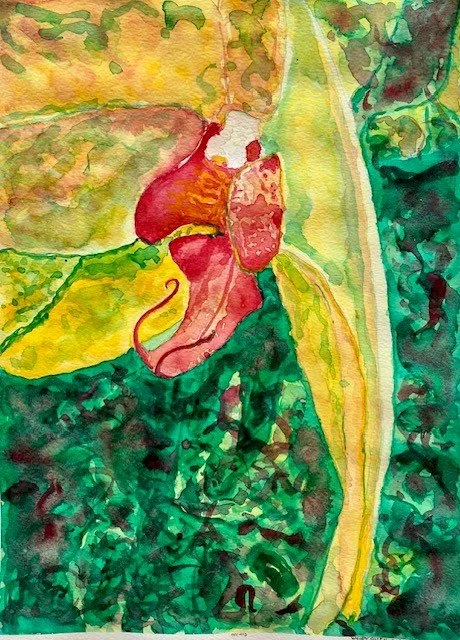 “Orchid” 2022 
watercolor on paper
16hx12w_in. 
 2022 Winter Juried Exhibition  11.20.22
Anderson Arts Center
Kenosha WI 
SOLD
