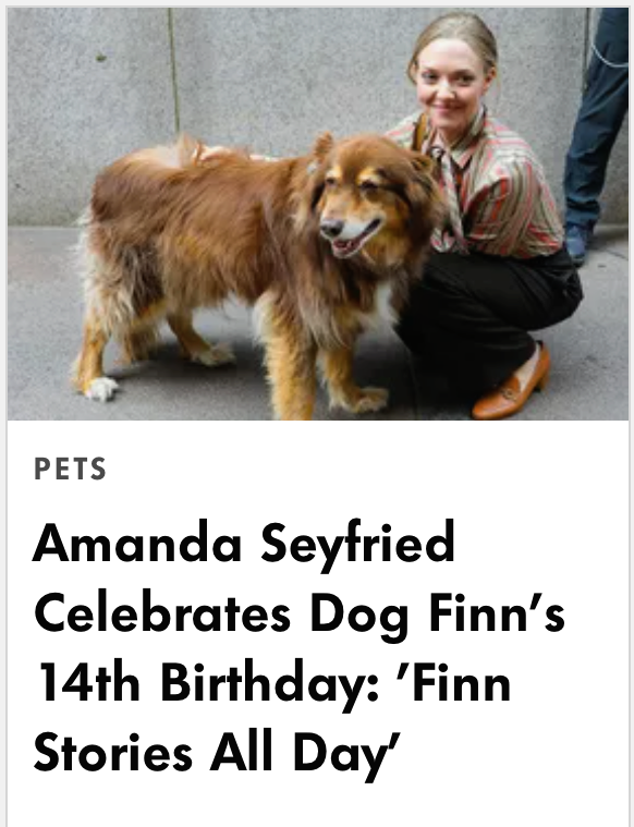 Amanda Seyfried celebrates her dog Finn's birthday by baking him special treats. 