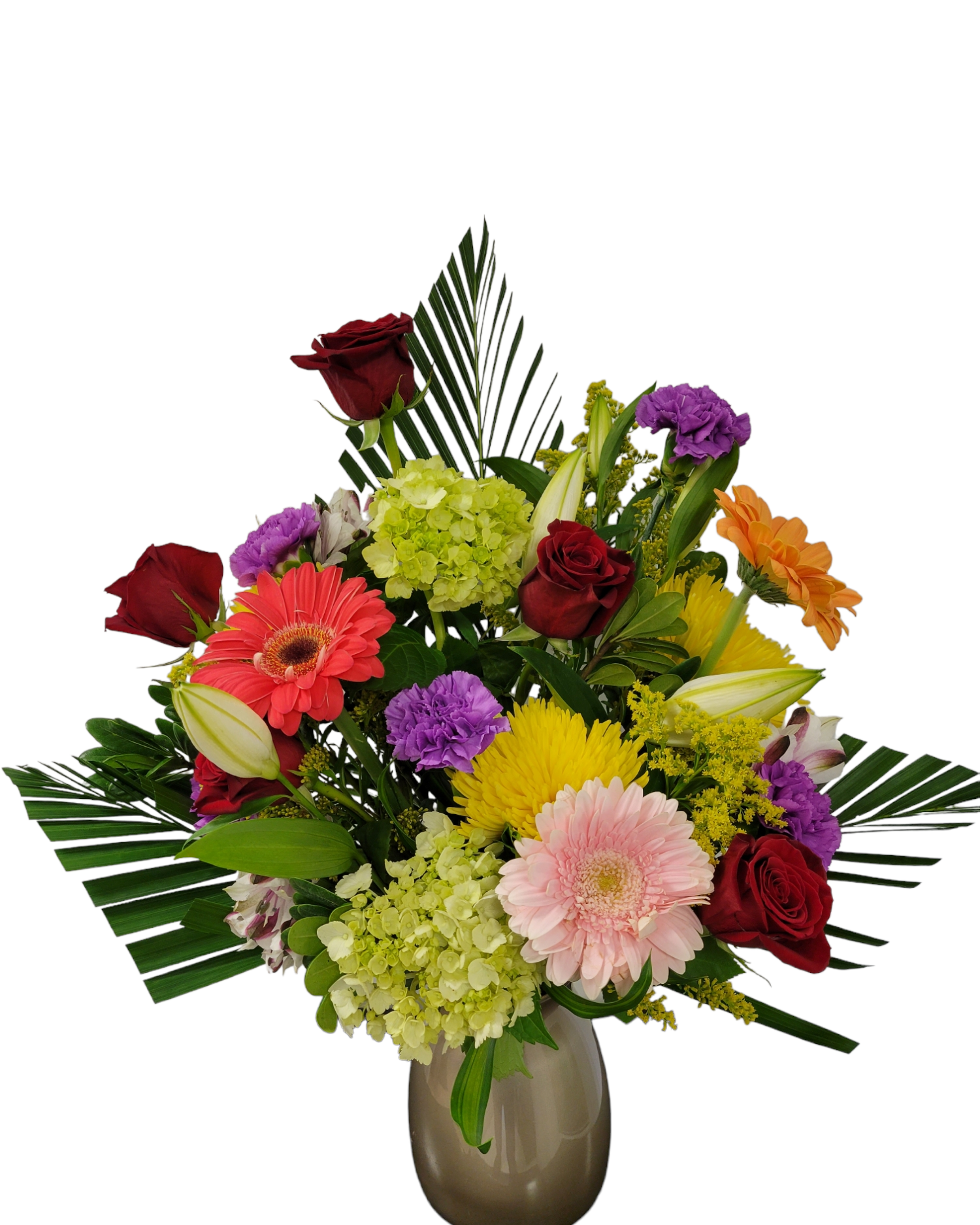 PhotoRoom-20230103_202740.png