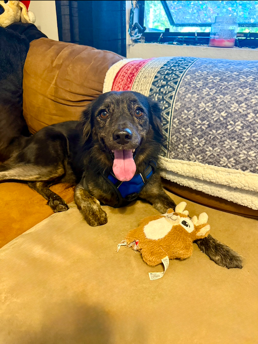 Screen Shot 2025-12-25 at 11.22.47 PM.png