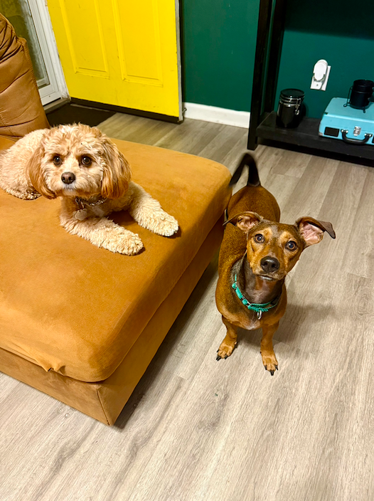 Screen Shot 2026-01-06 at 5.27.56 PM.png