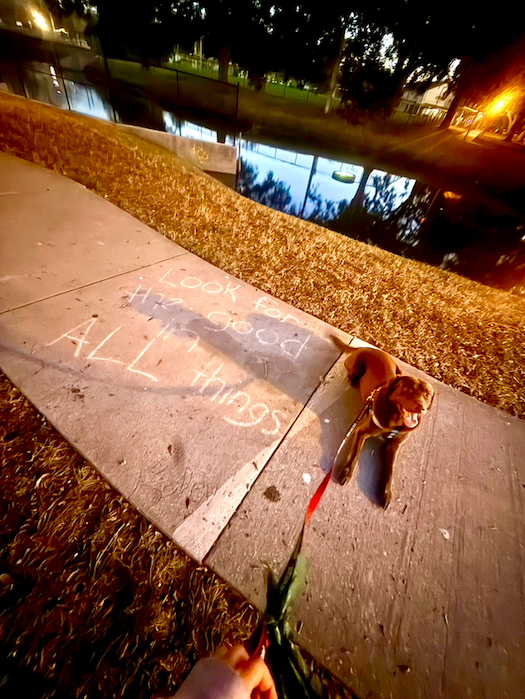 Screen Shot 2026-01-06 at 5.27.32 PM.png