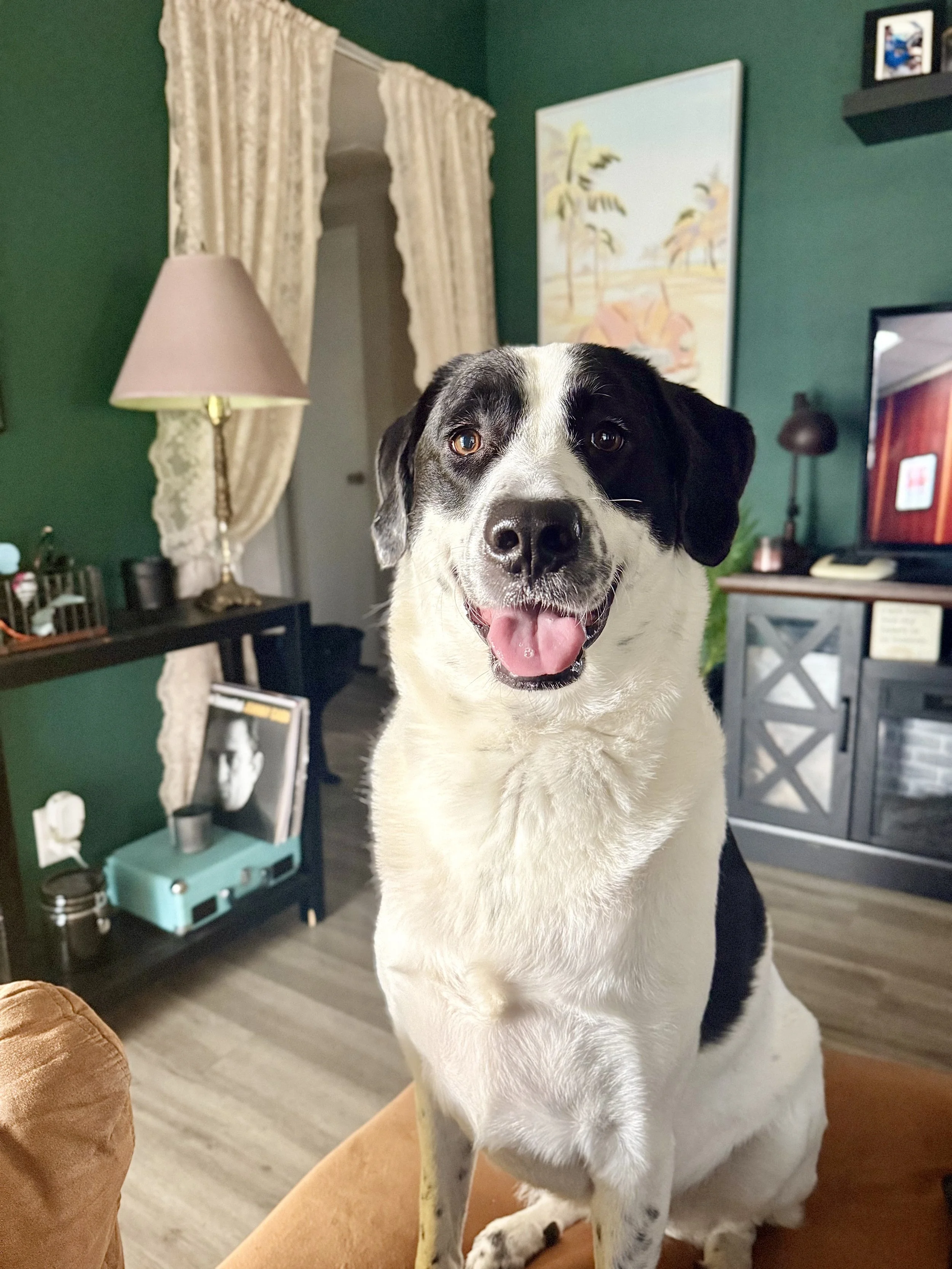 FullSizeRender (5).jpeg