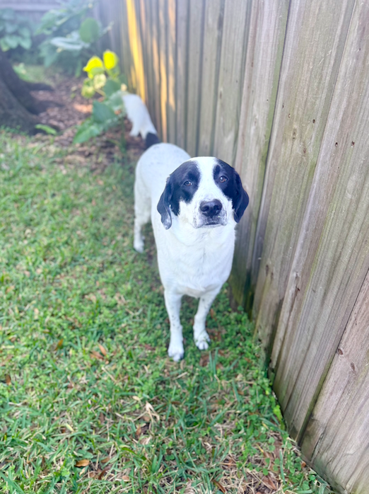 Screen Shot 2025-12-25 at 11.18.26 PM.png