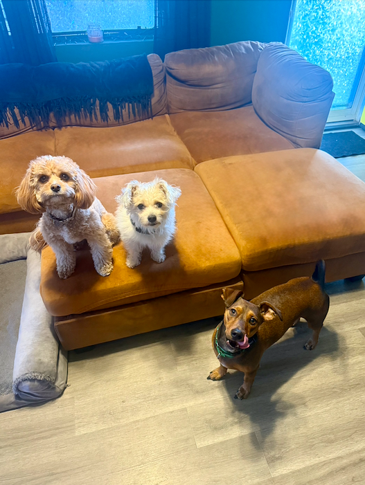 Screen Shot 2026-01-06 at 5.26.35 PM.png